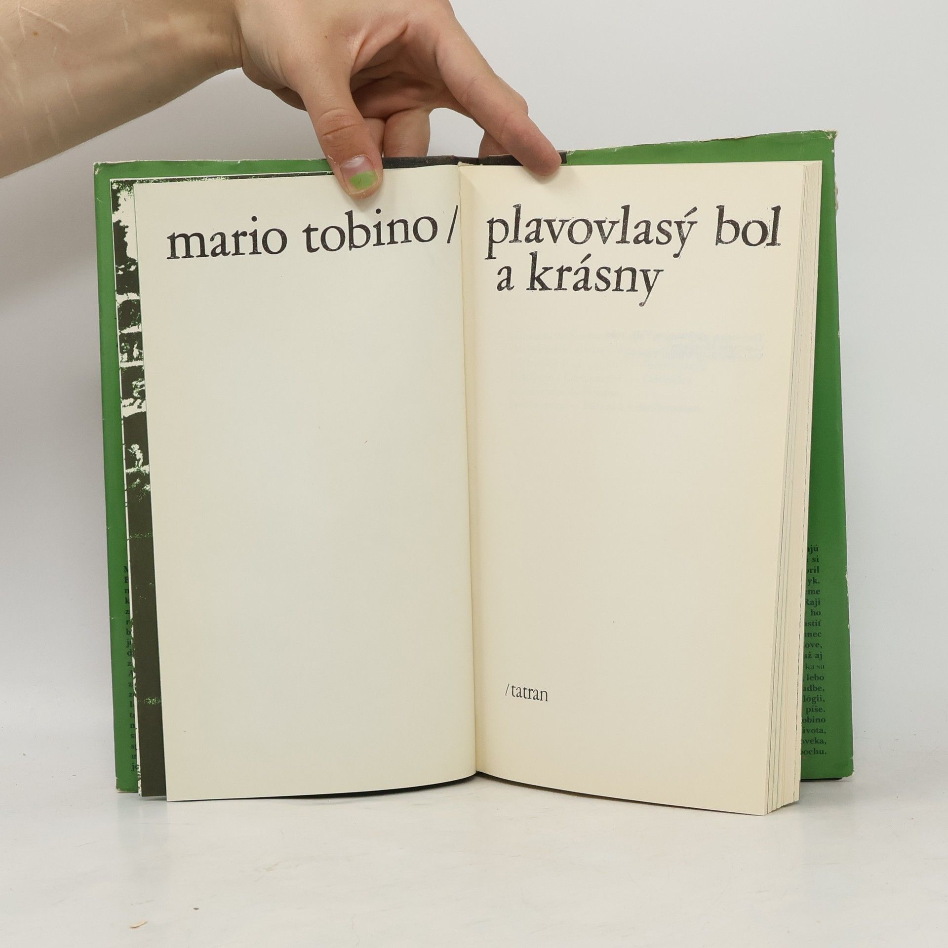 Mario Tobino Plavovlasý bol a krásny