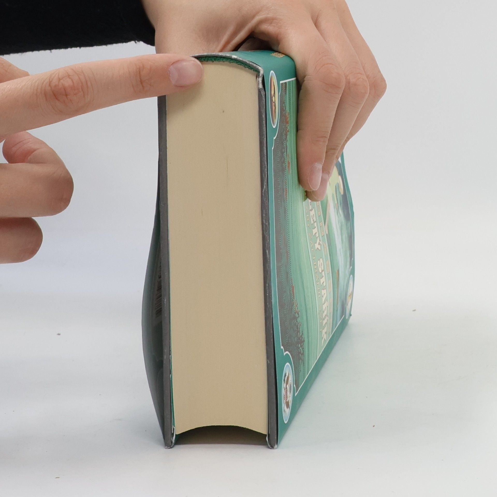 Jonas Jonasson Stojednaletý stařík, který se vrátil, aby zachránil svět