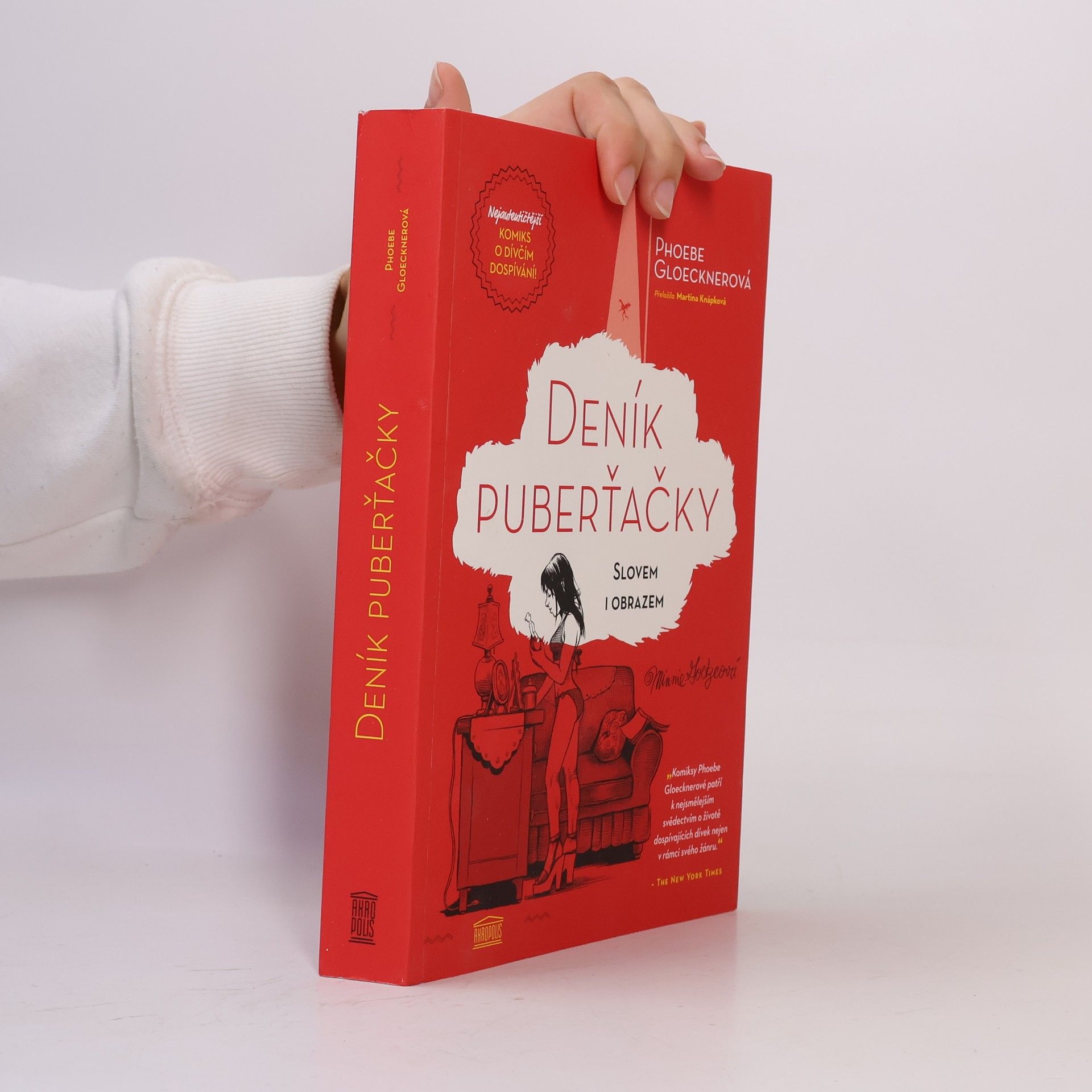 Phoebe Gloeckner Deník puberťačky : slovem i obrazem