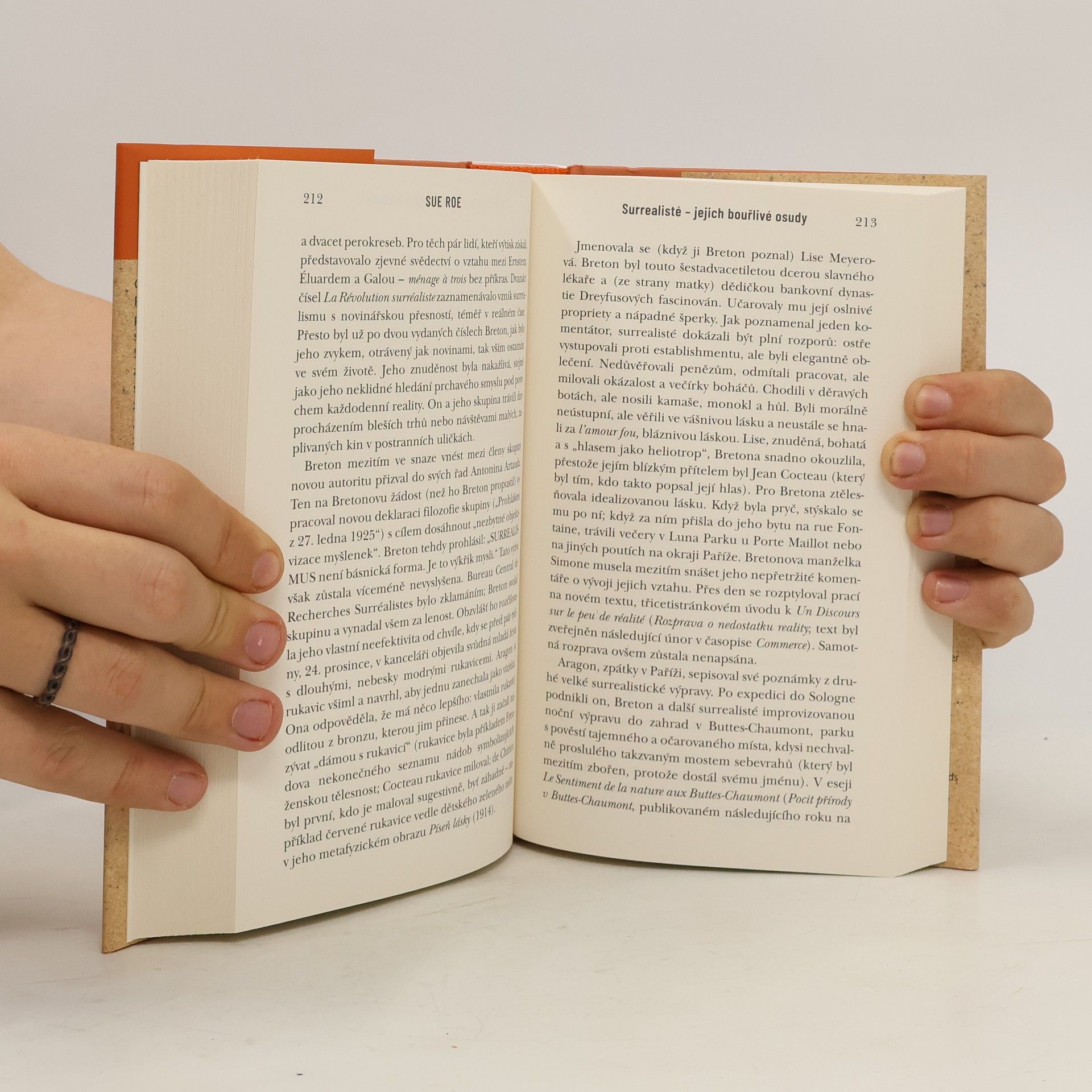 Sue Roe Surrealisté jejich bouřlivé osudy