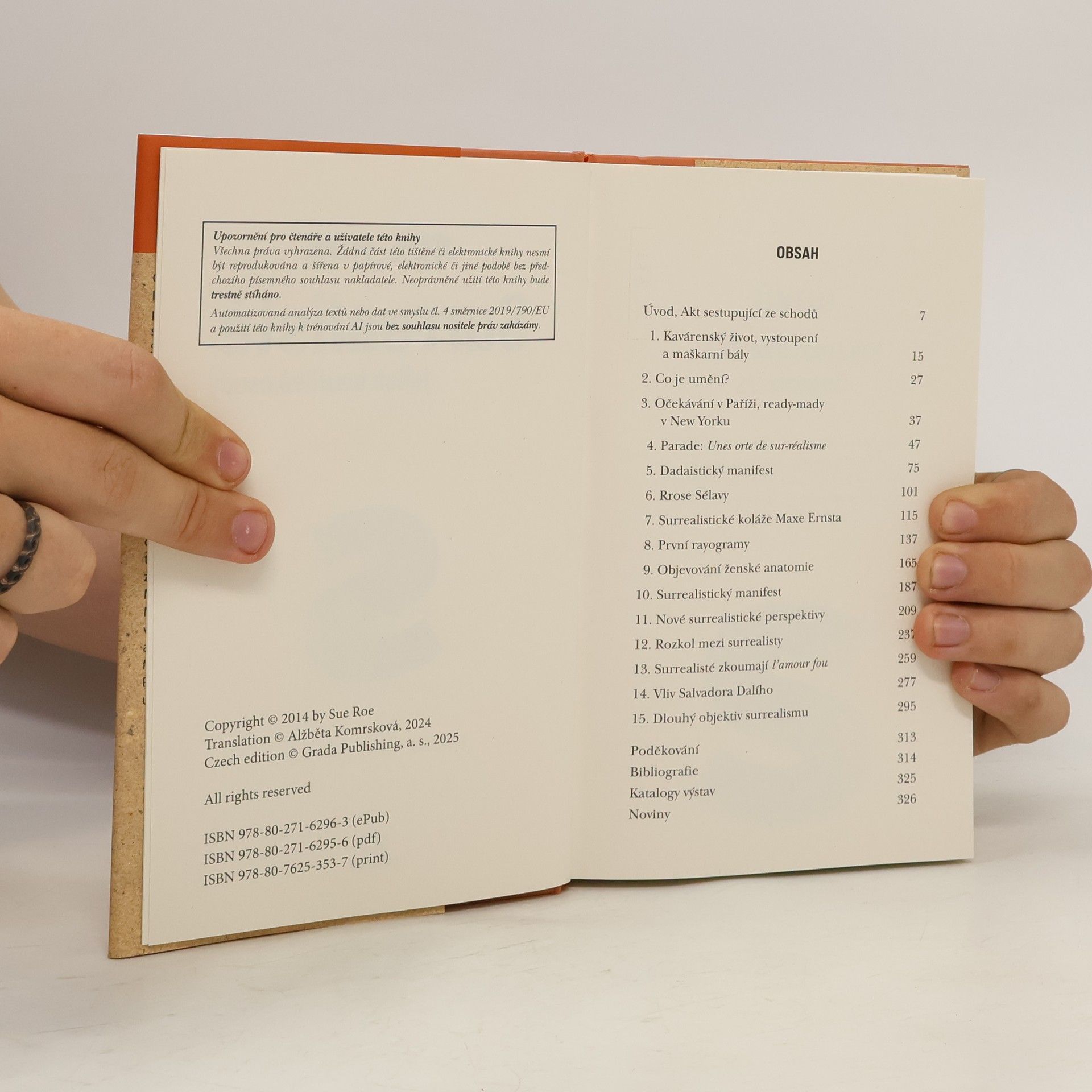 Sue Roe Surrealisté jejich bouřlivé osudy
