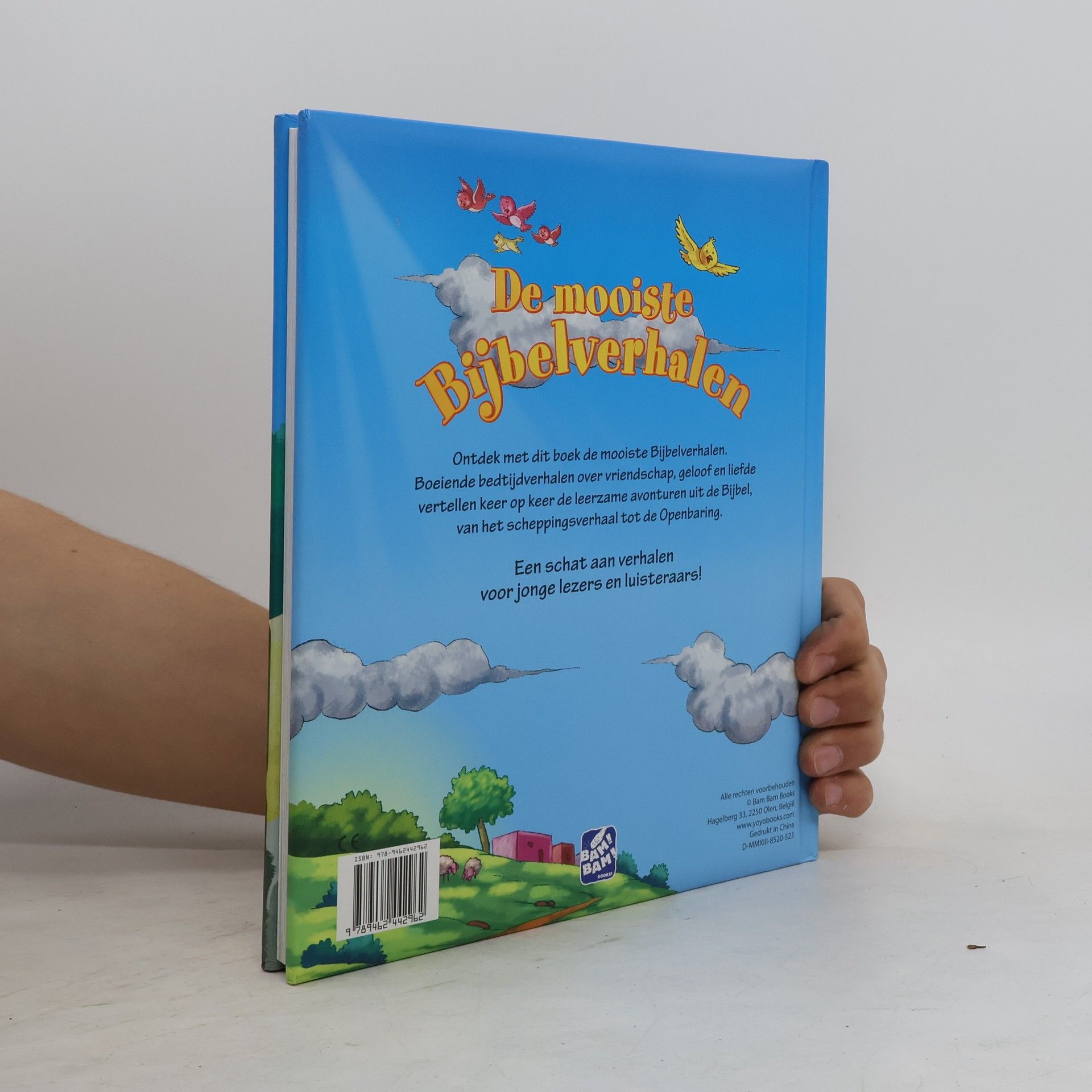 AA.VV. De mooiste Bijbelverhalen