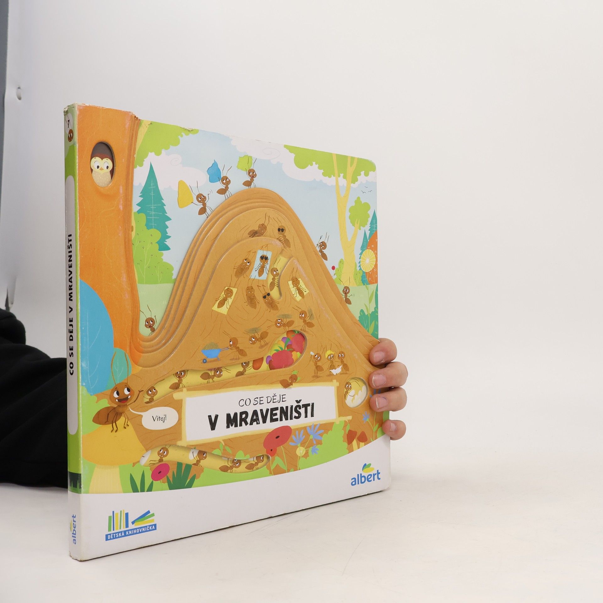 Autores varios Co se děje v mraveništi