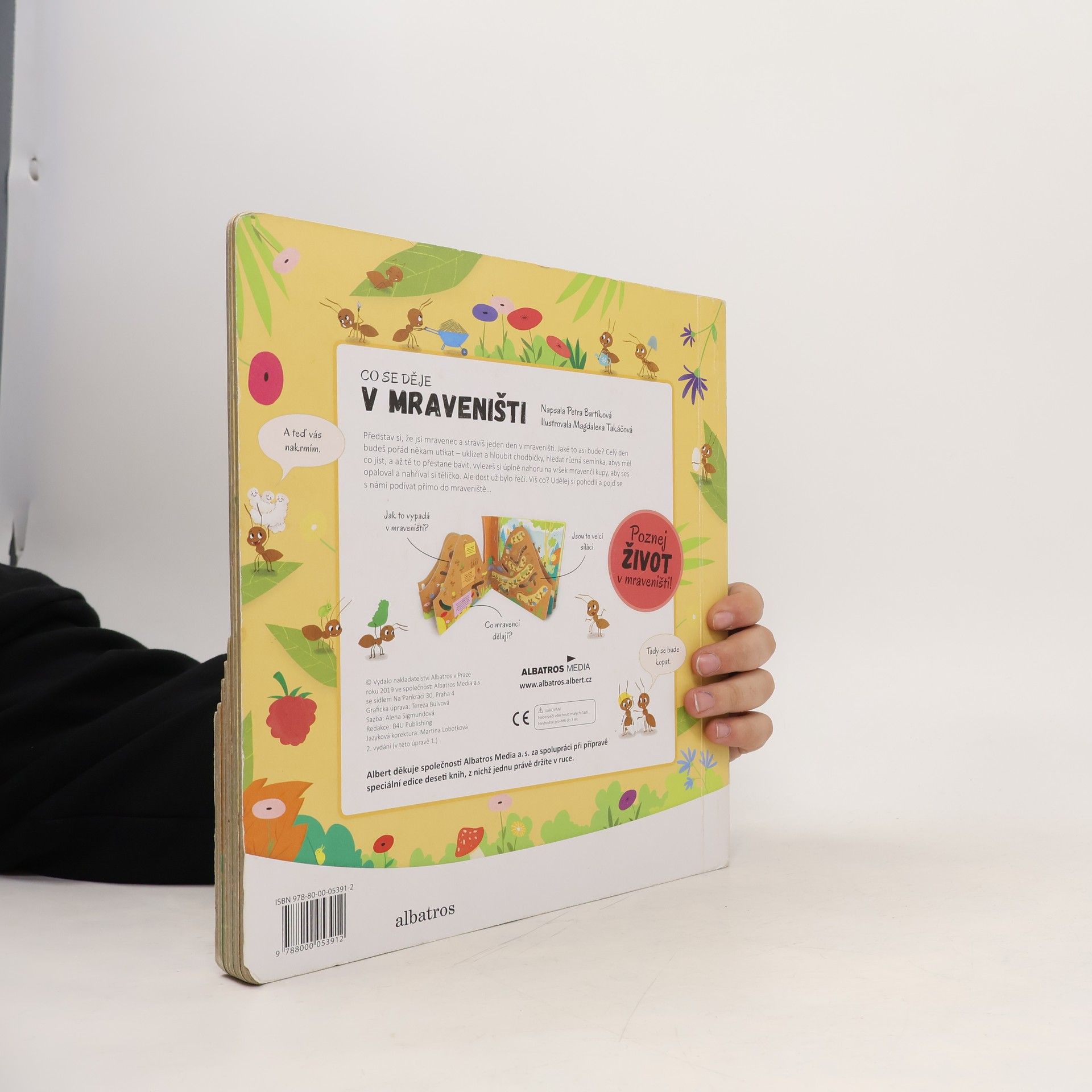 Autores varios Co se děje v mraveništi