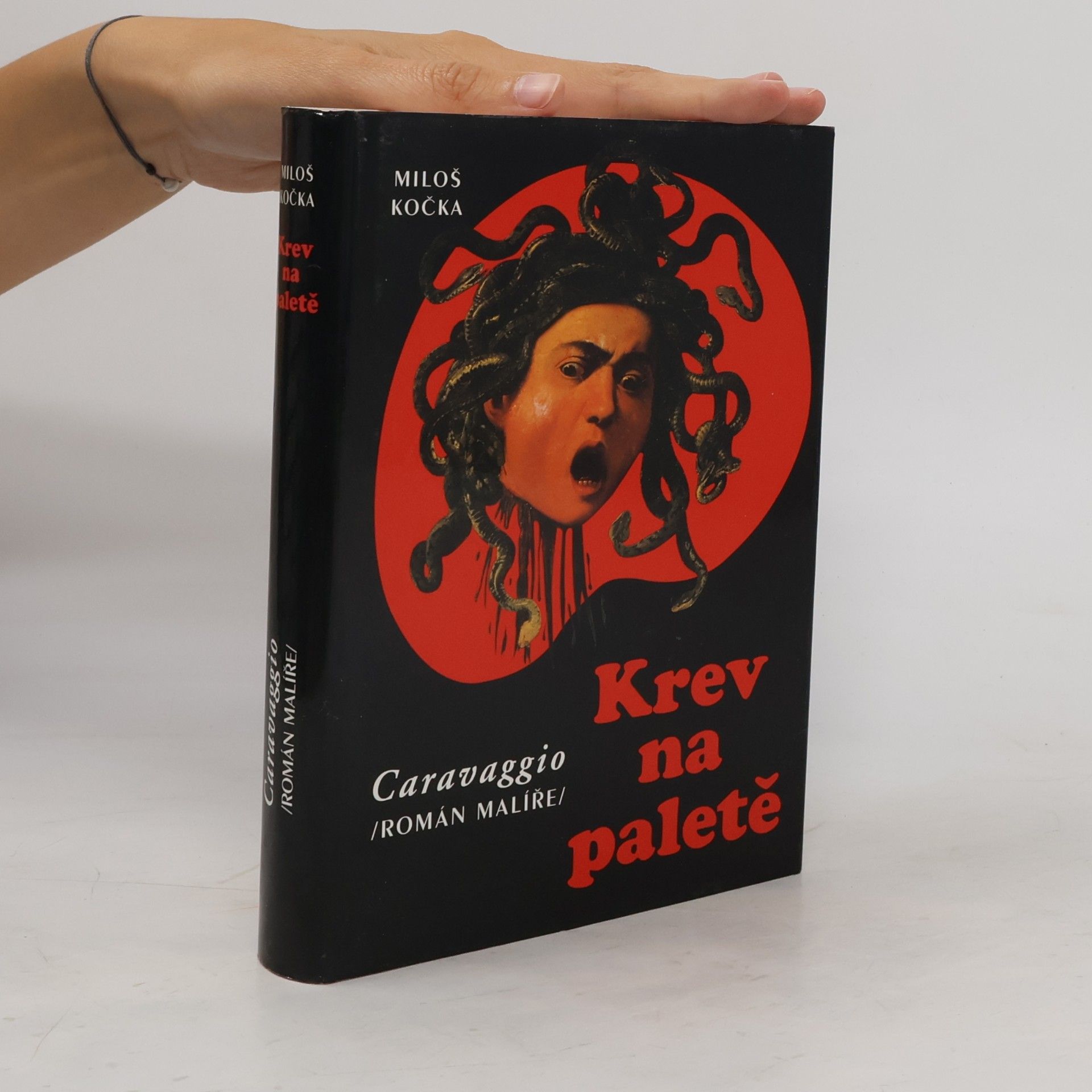 Miloš Kočka Krev na paletě