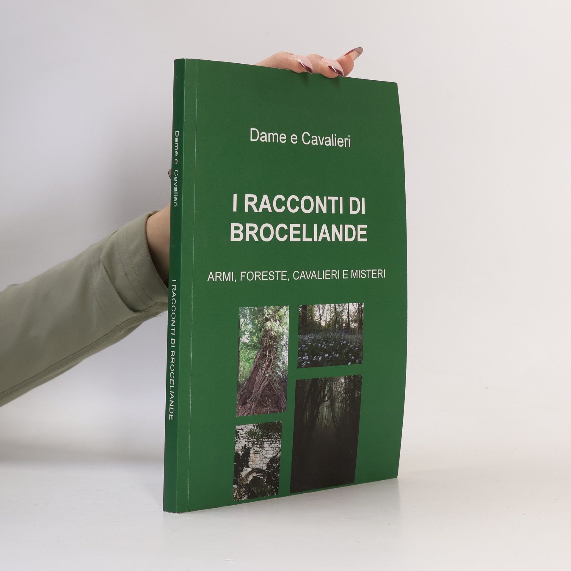 Dame e Cavalieri I Racconti di Broceliande