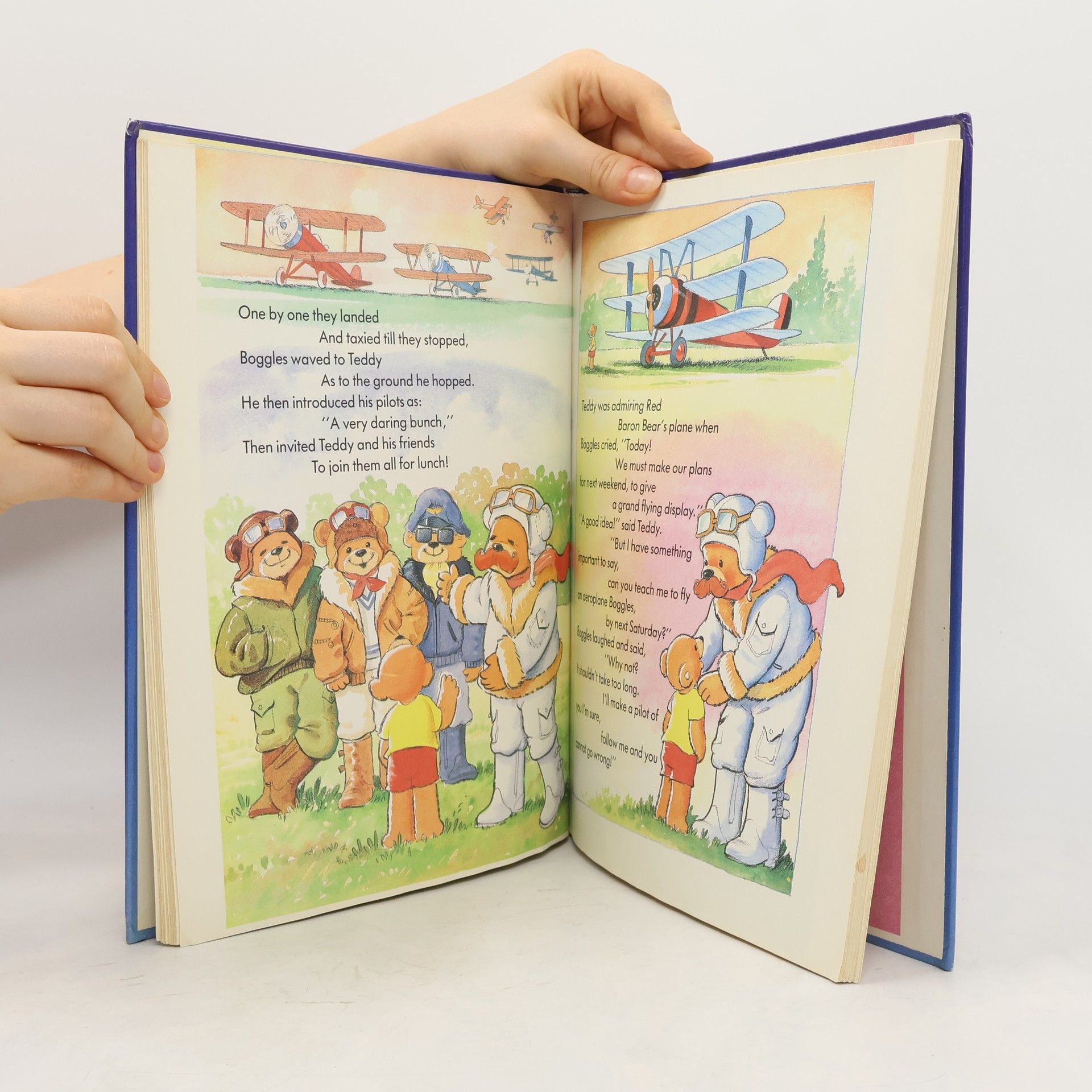 Brian Miles A Treasury of Teddy Tales