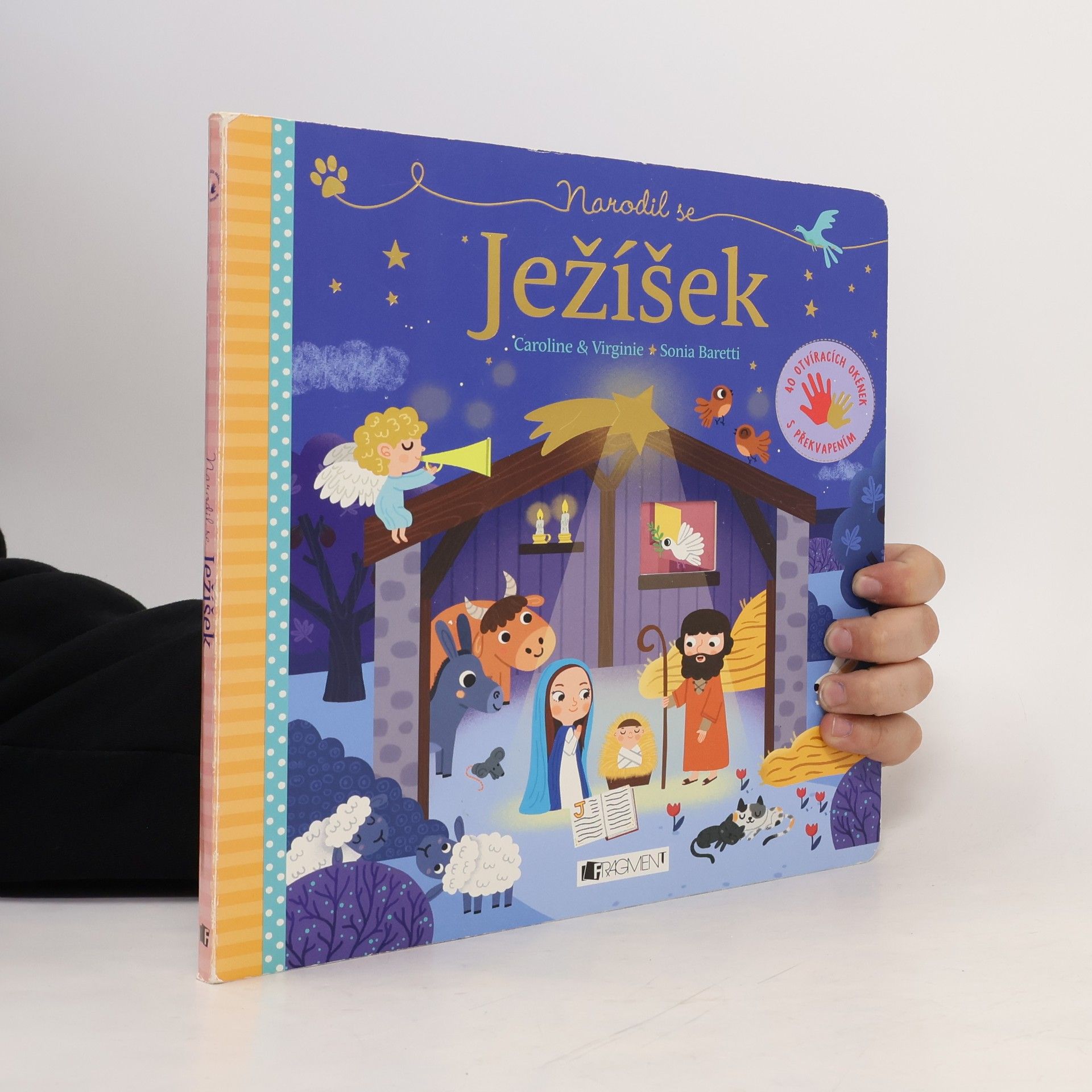 Virginie Aladjidi Narodil se Ježíšek