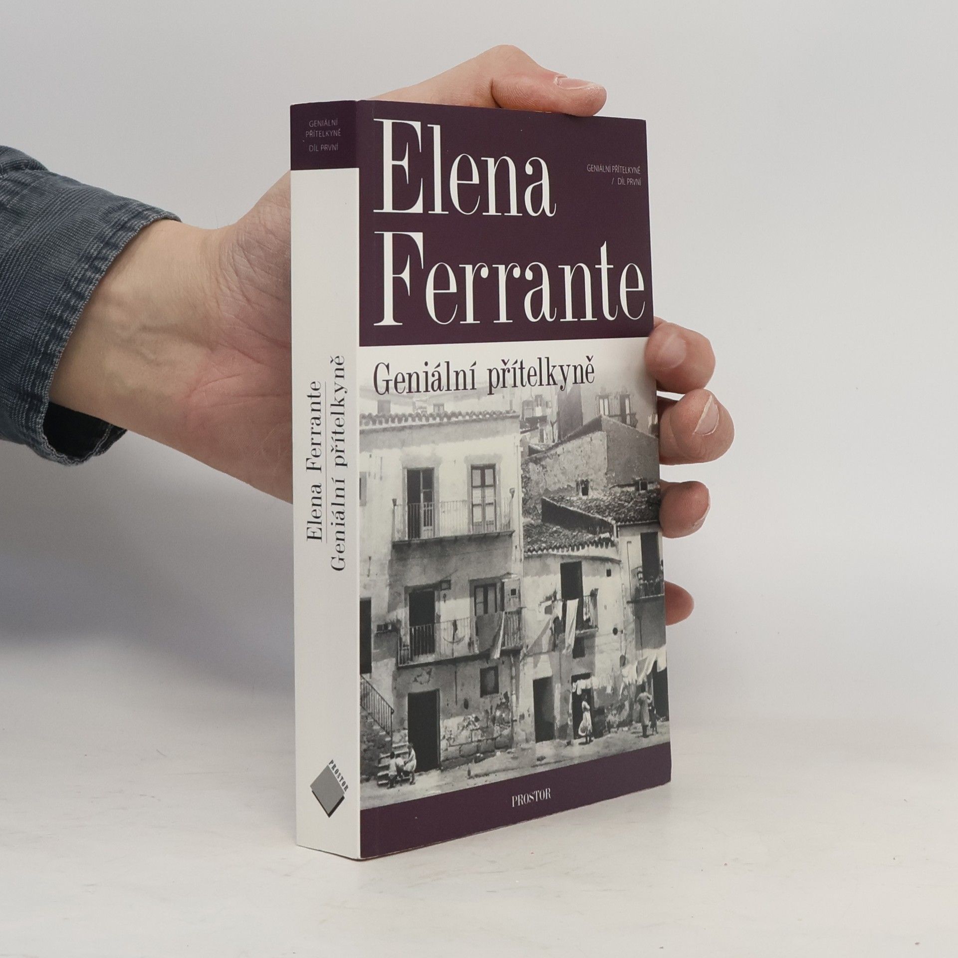 Elena Ferrante Geniální přítelkyně 1. Dětství a dospívání