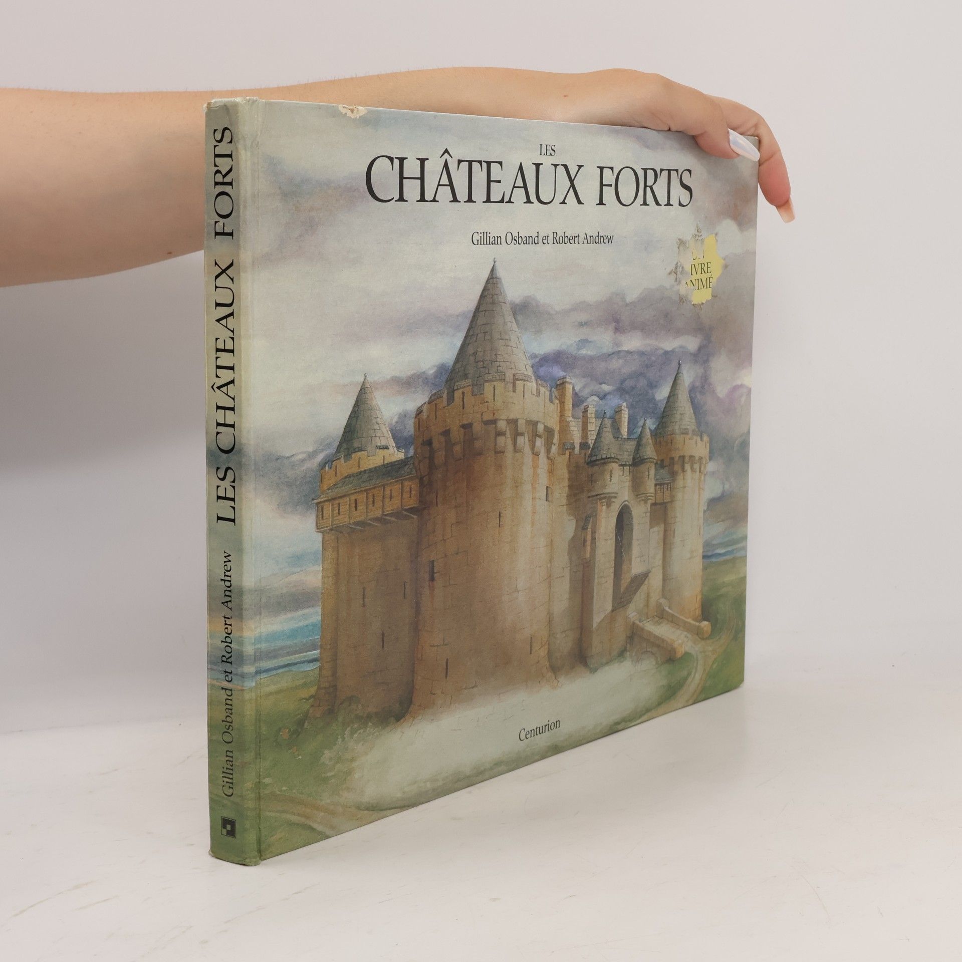 Robert Andrew Les châteaux forts