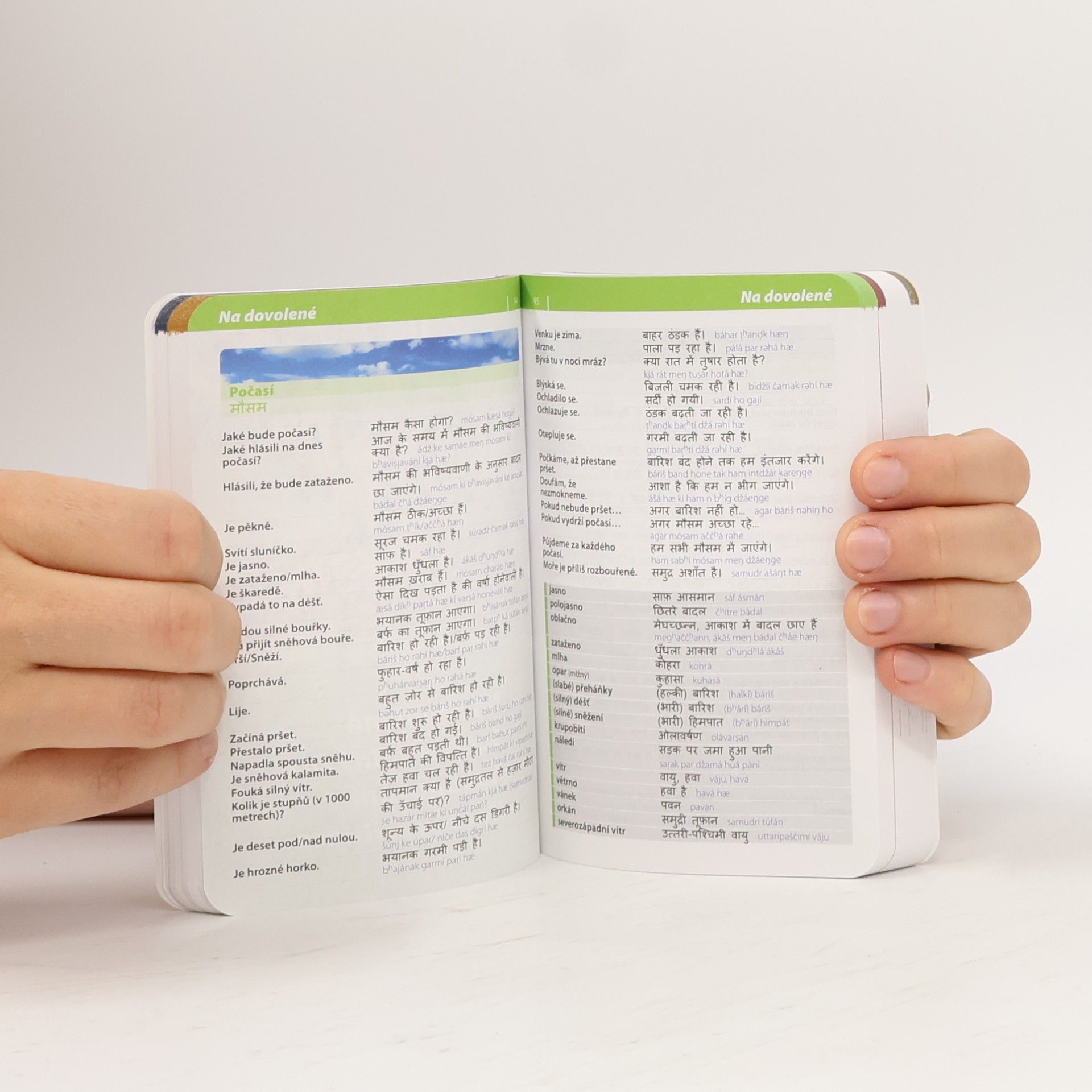 Autorenkollektiv Hindština - konverzace se slovníkem a gramatikou