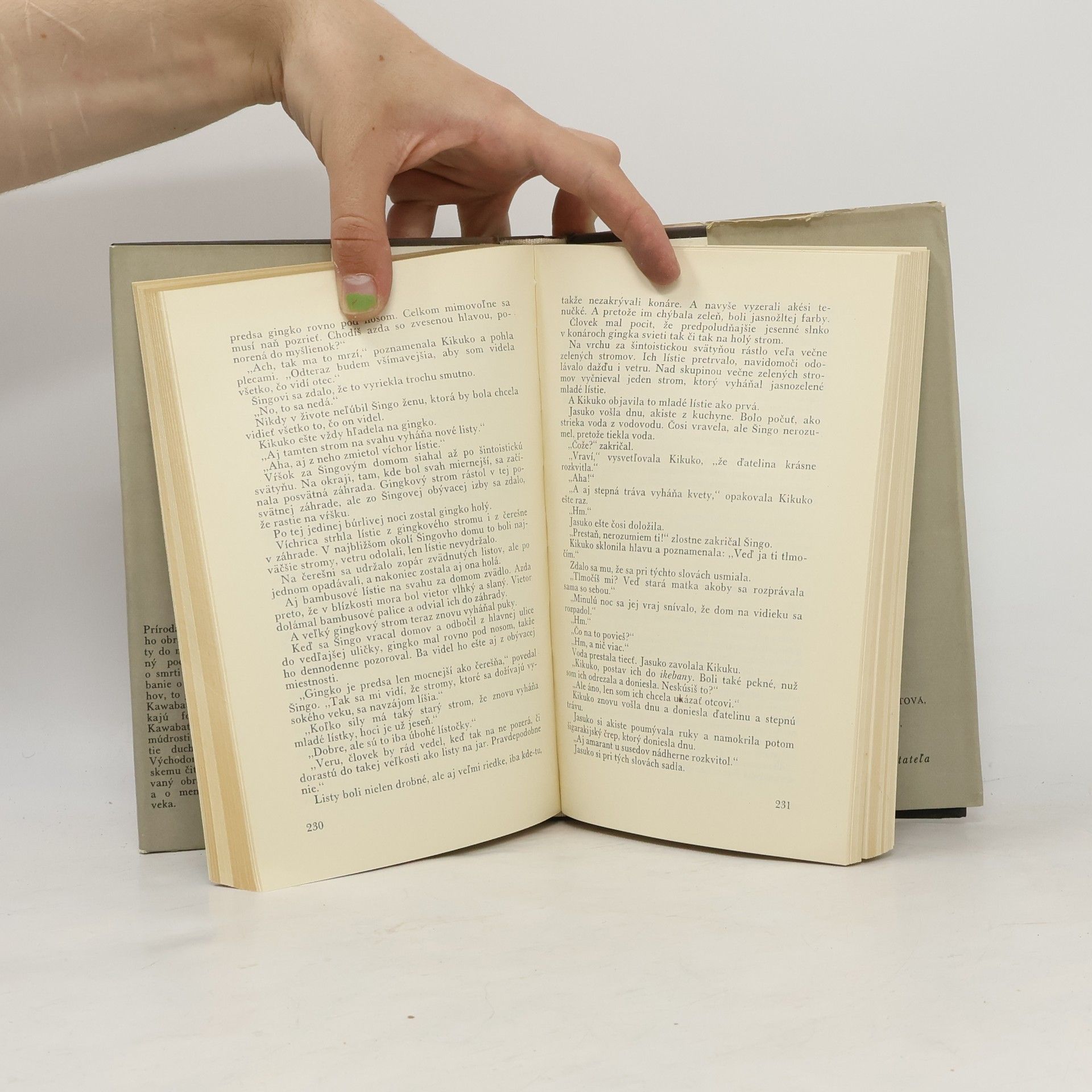 Jasunari Kawabata Spiace krásavice
