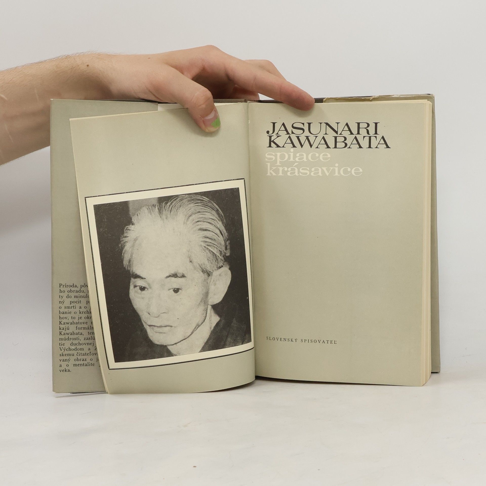 Jasunari Kawabata Spiace krásavice