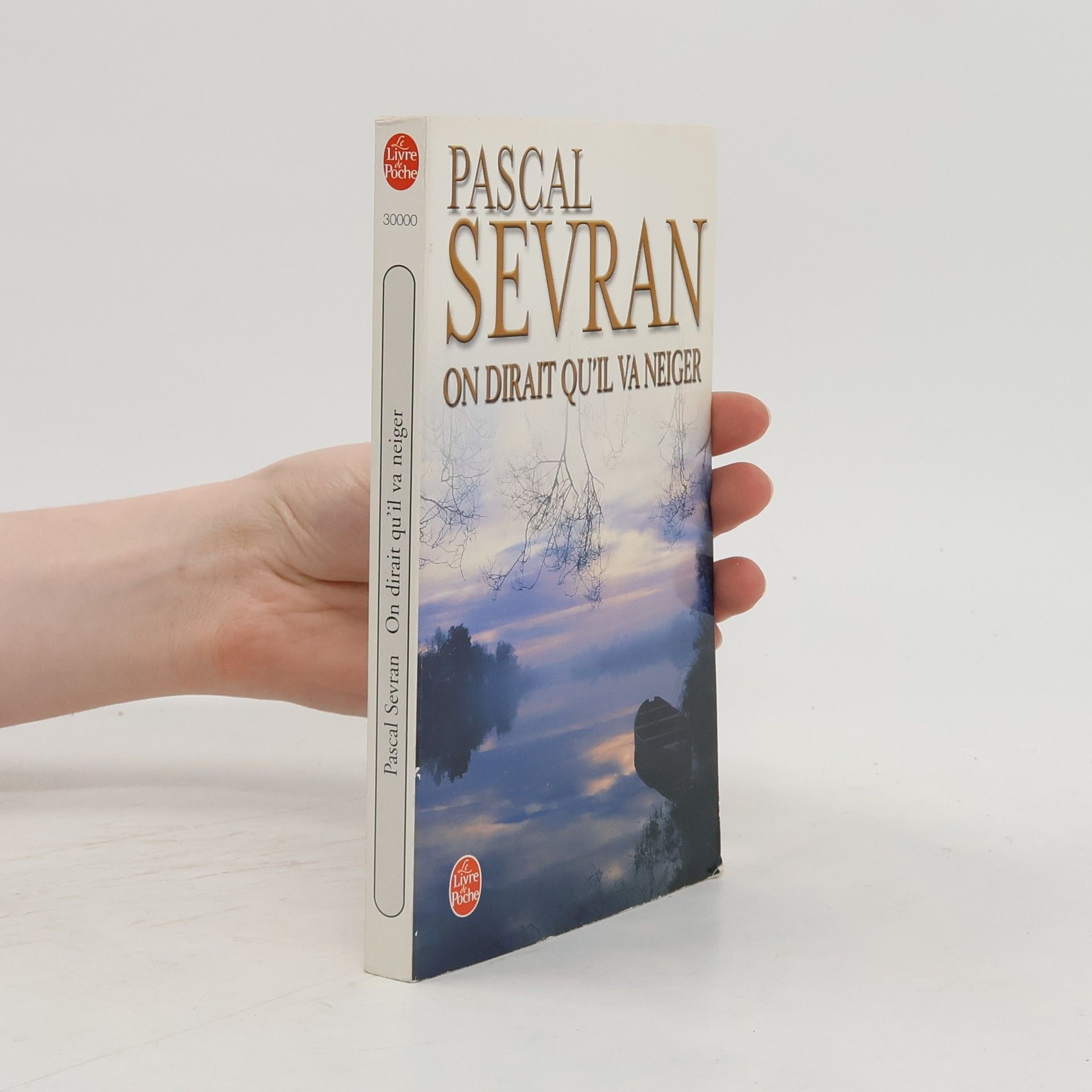 Pascal Sevran Le Livre de Poche: On dirait qu'il va neiger