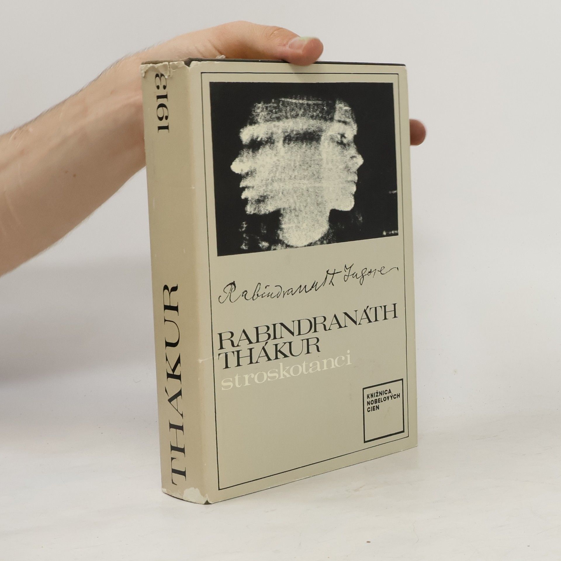 Rabindranath Tagore Stroskotanci