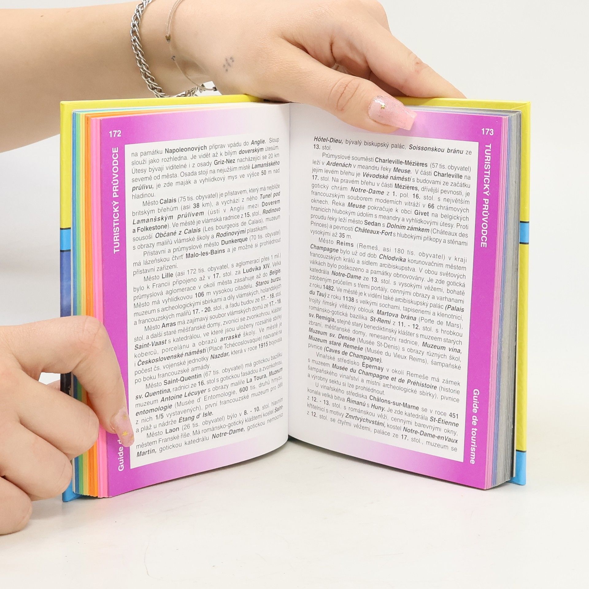 Pavlína Vaňková Francouzština : conversation & dictionnaire tchèque-français : konverzace - turistický průvodce - gramatika - slovník