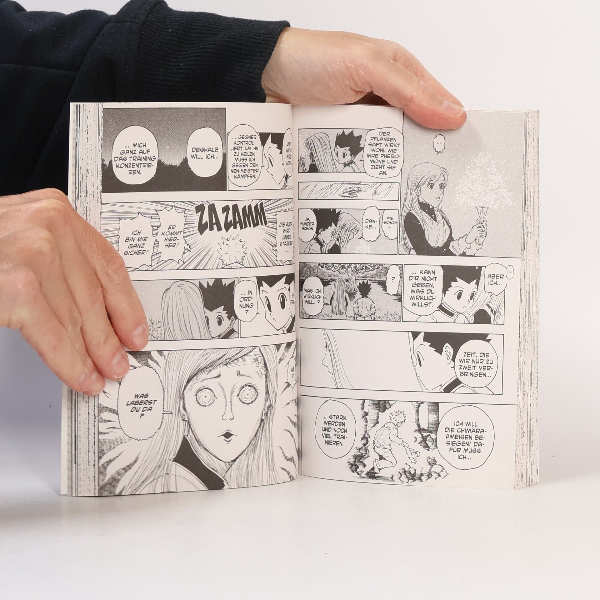 Yoshihiro Togashi Hunter X Hunter 21