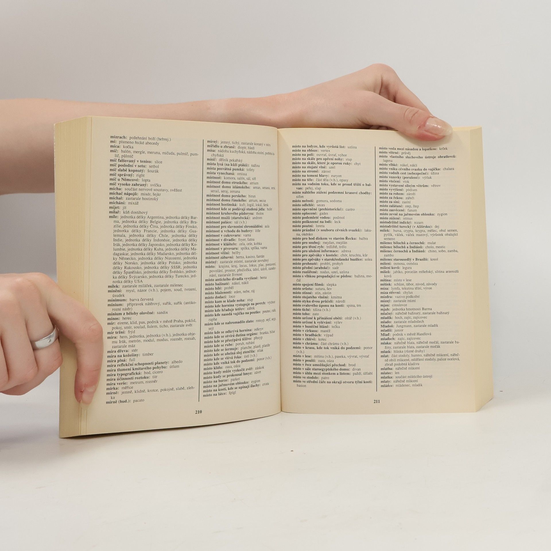 Autorenkollektiv Křížovkářský slovník