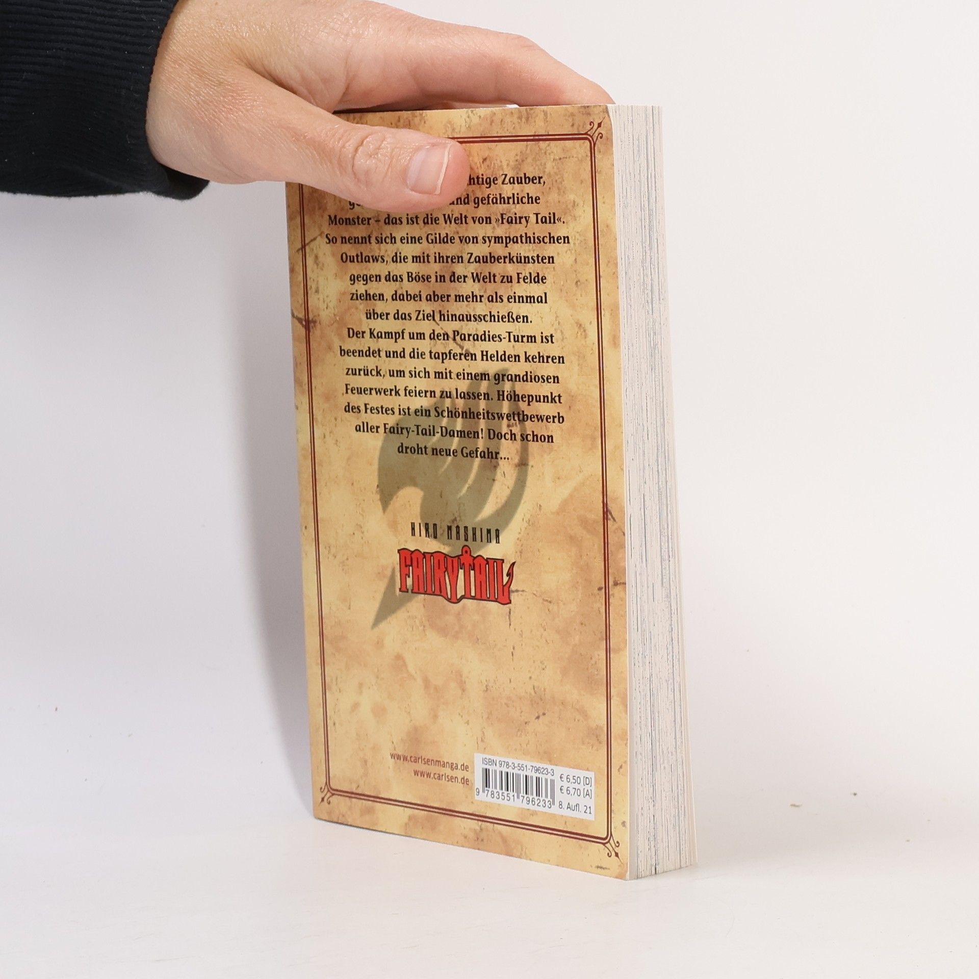 Hiro M. Fairy Tail 13