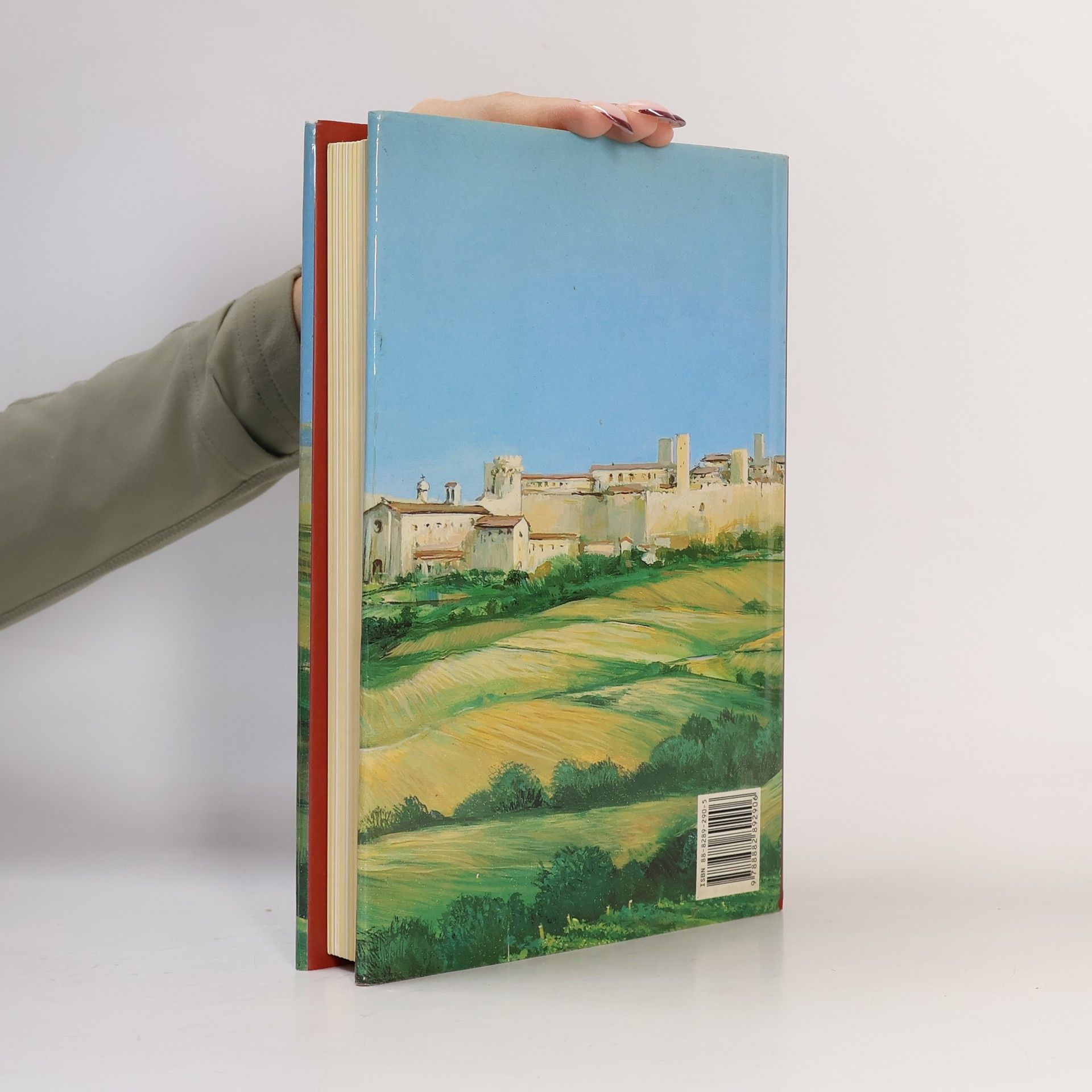 P. Alberto Daga Tarquinia, la città degli Etruschi, delle torri e delle chiese