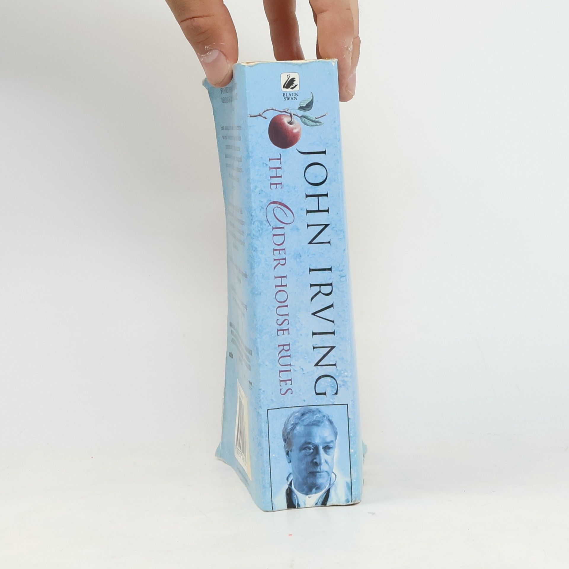 John Irving The Cider House rules