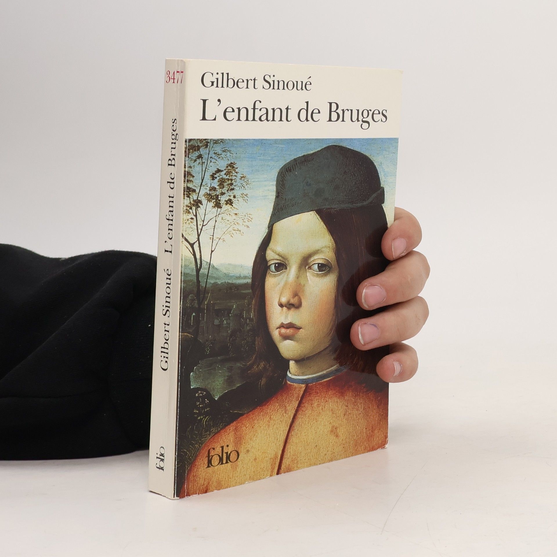 Gilbert Sinoué L'enfant de Bruges