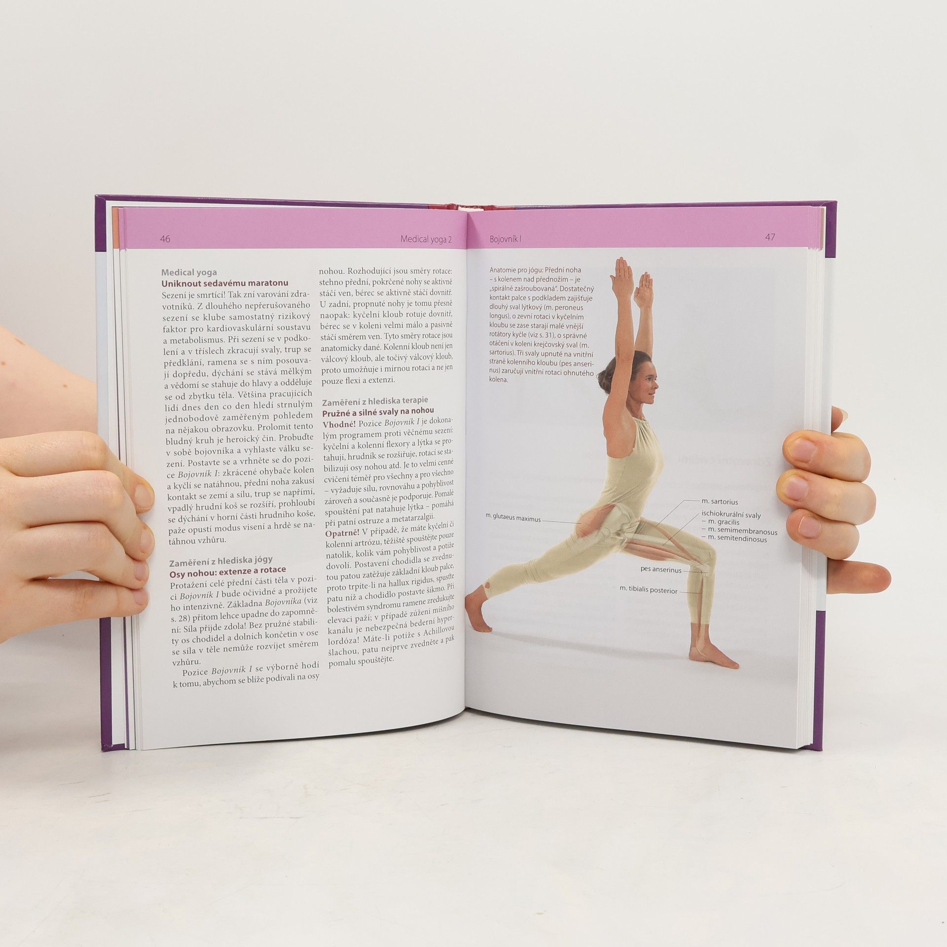 Christian Larsen Medical Yoga 2