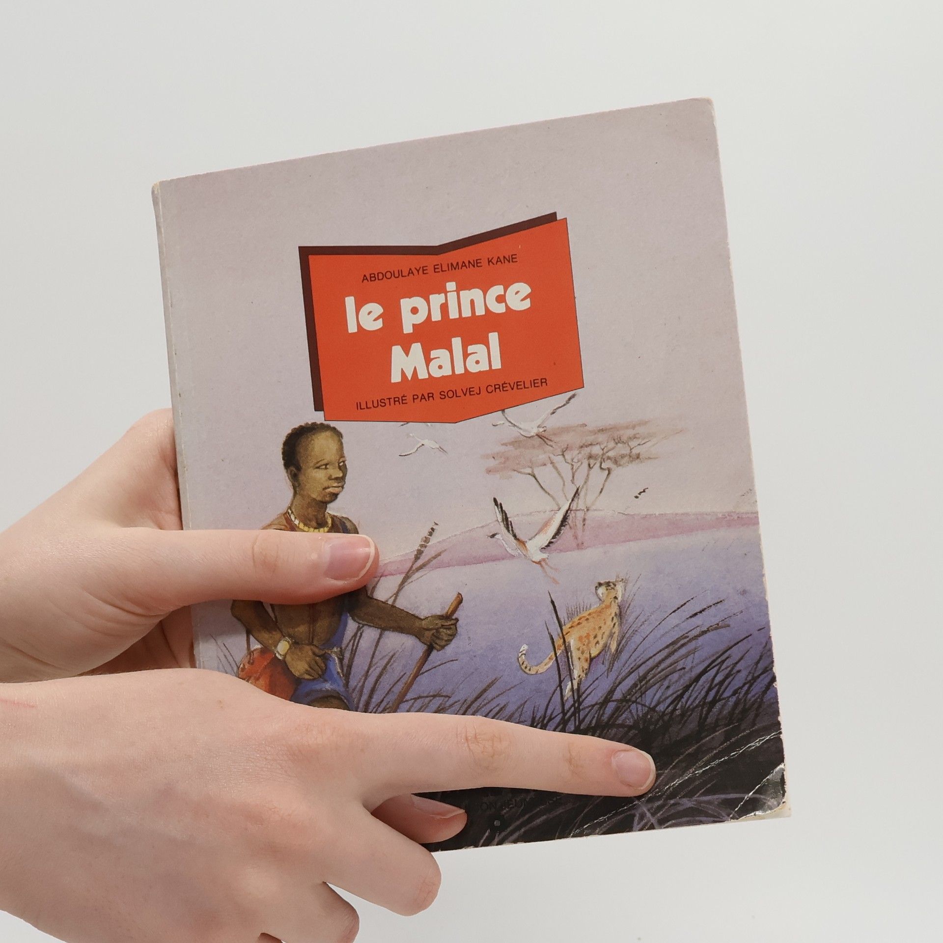 Abdoulaye Elimane Kane Flamme lire: Le Prince Malal