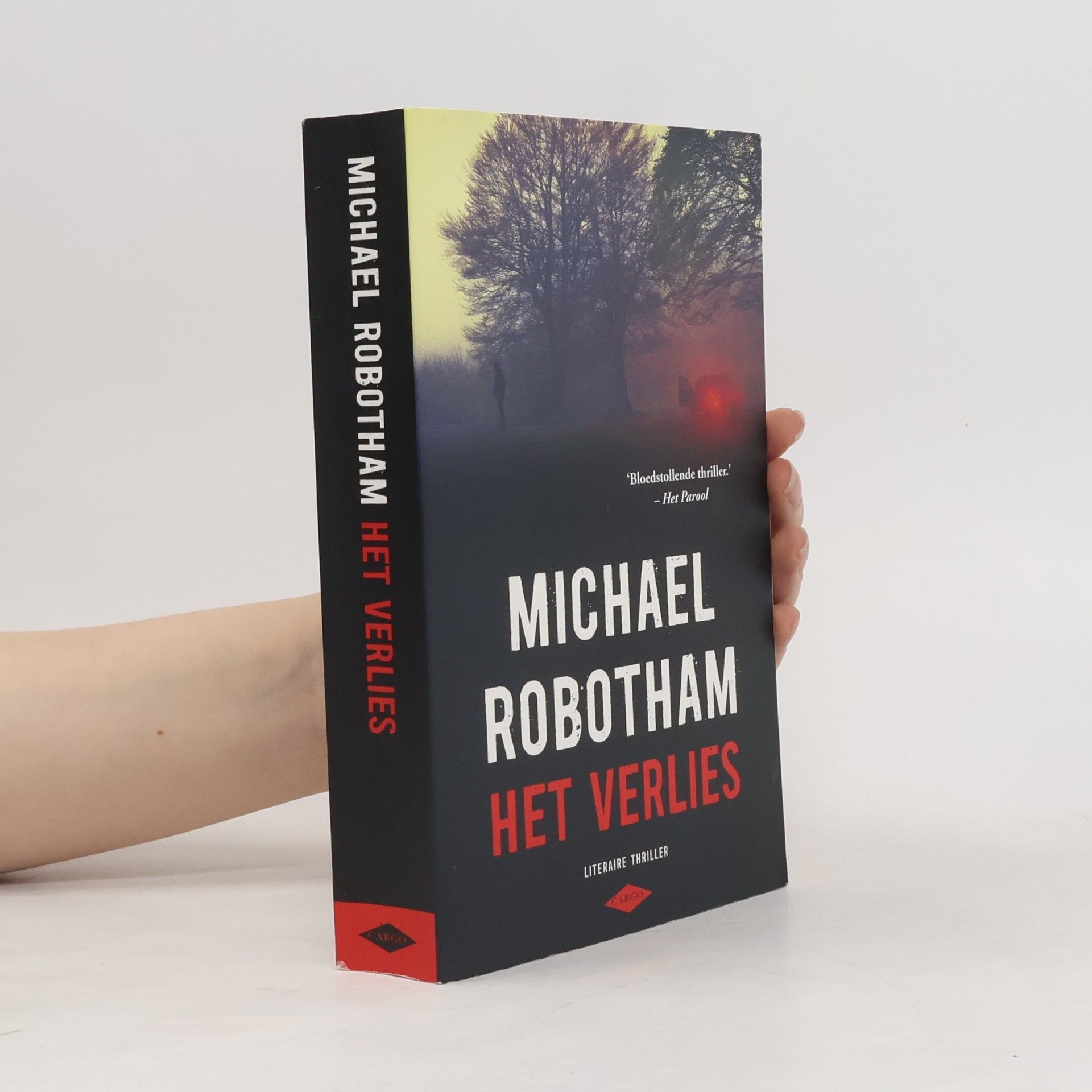 Michael Robotham Het verlies