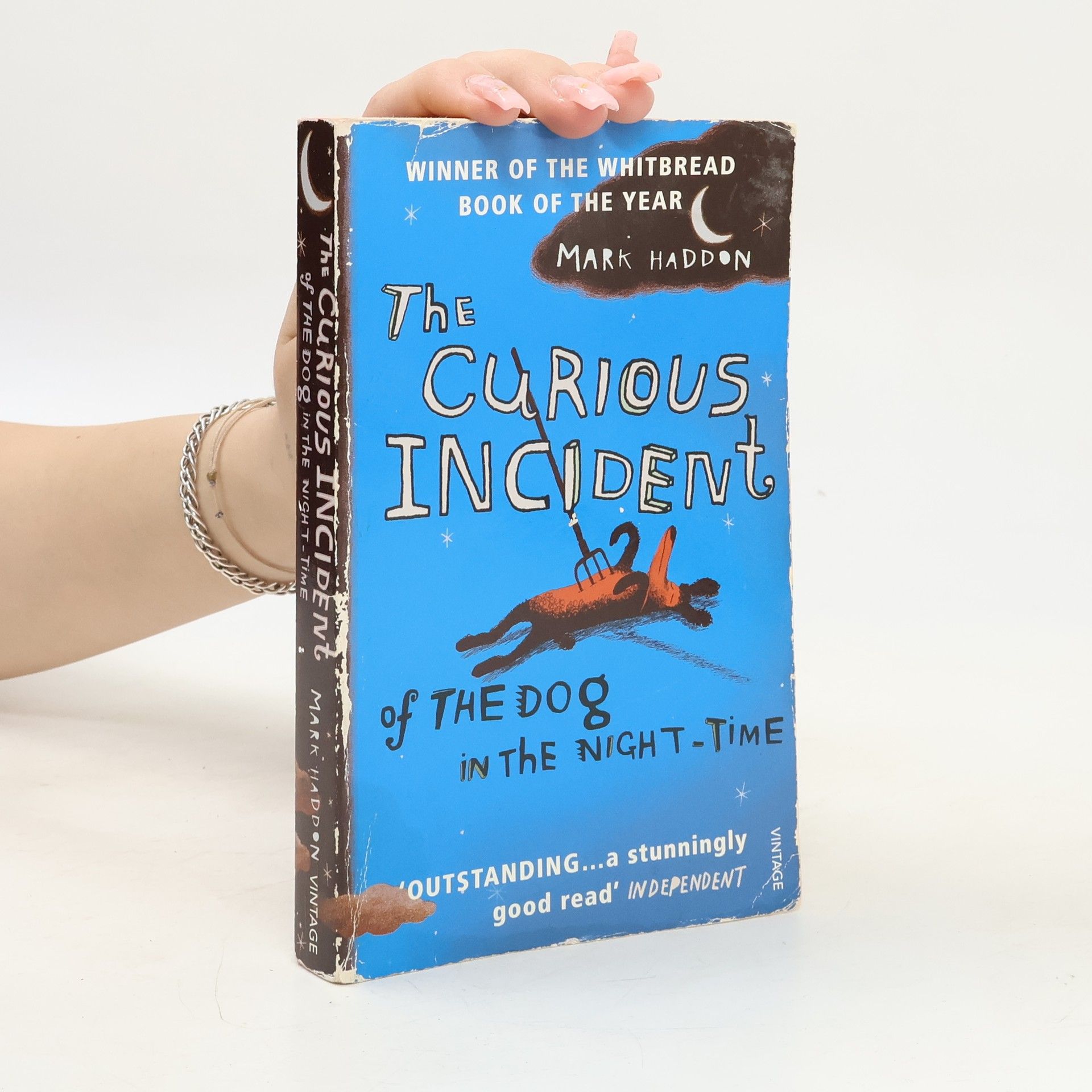 Mark Haddon The Curious Incident of The Dog in The Night-Time