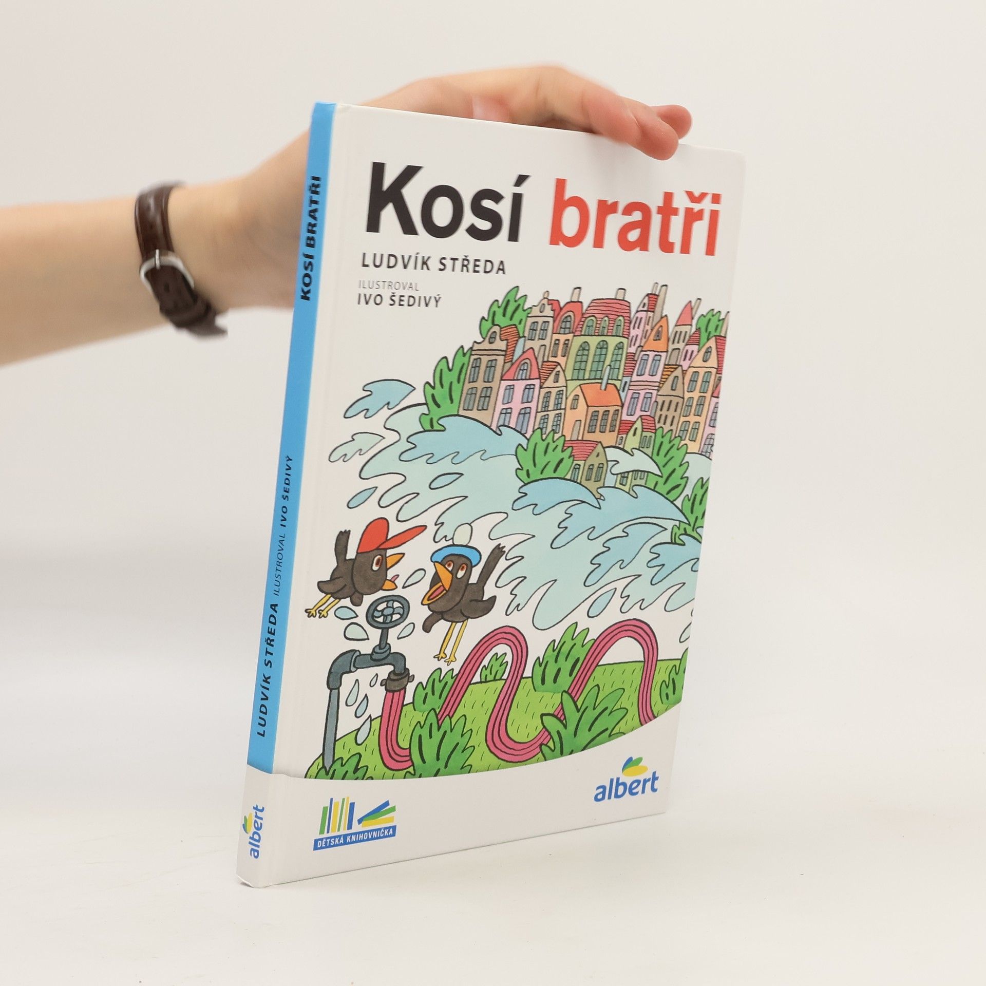 Ludvík Středa Kosí bratři