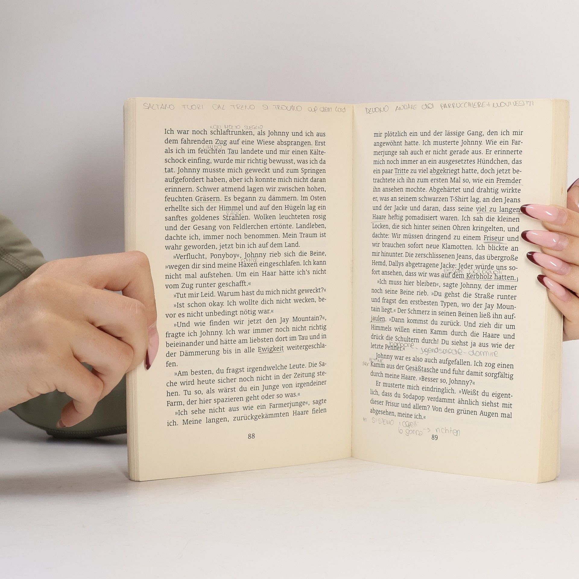 Susan E. Hinton Die Outsider
