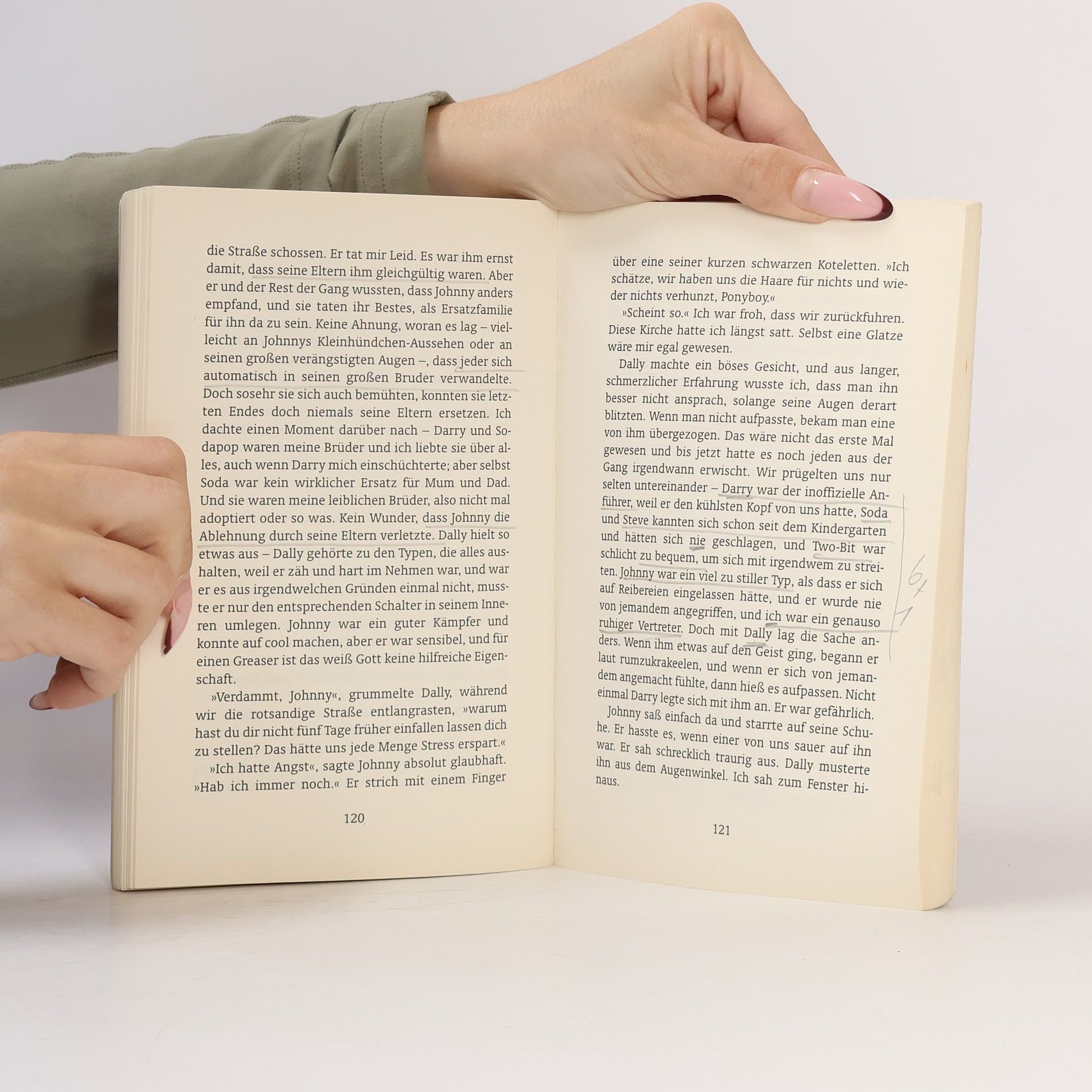 Susan E. Hinton Die Outsider