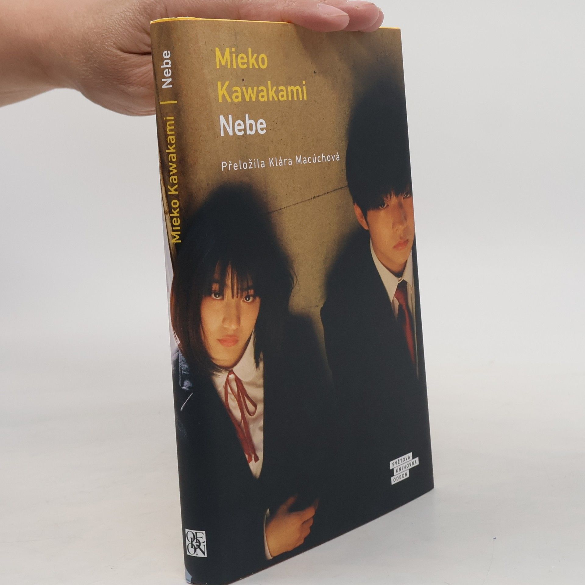 Mieko Kawakami Nebe