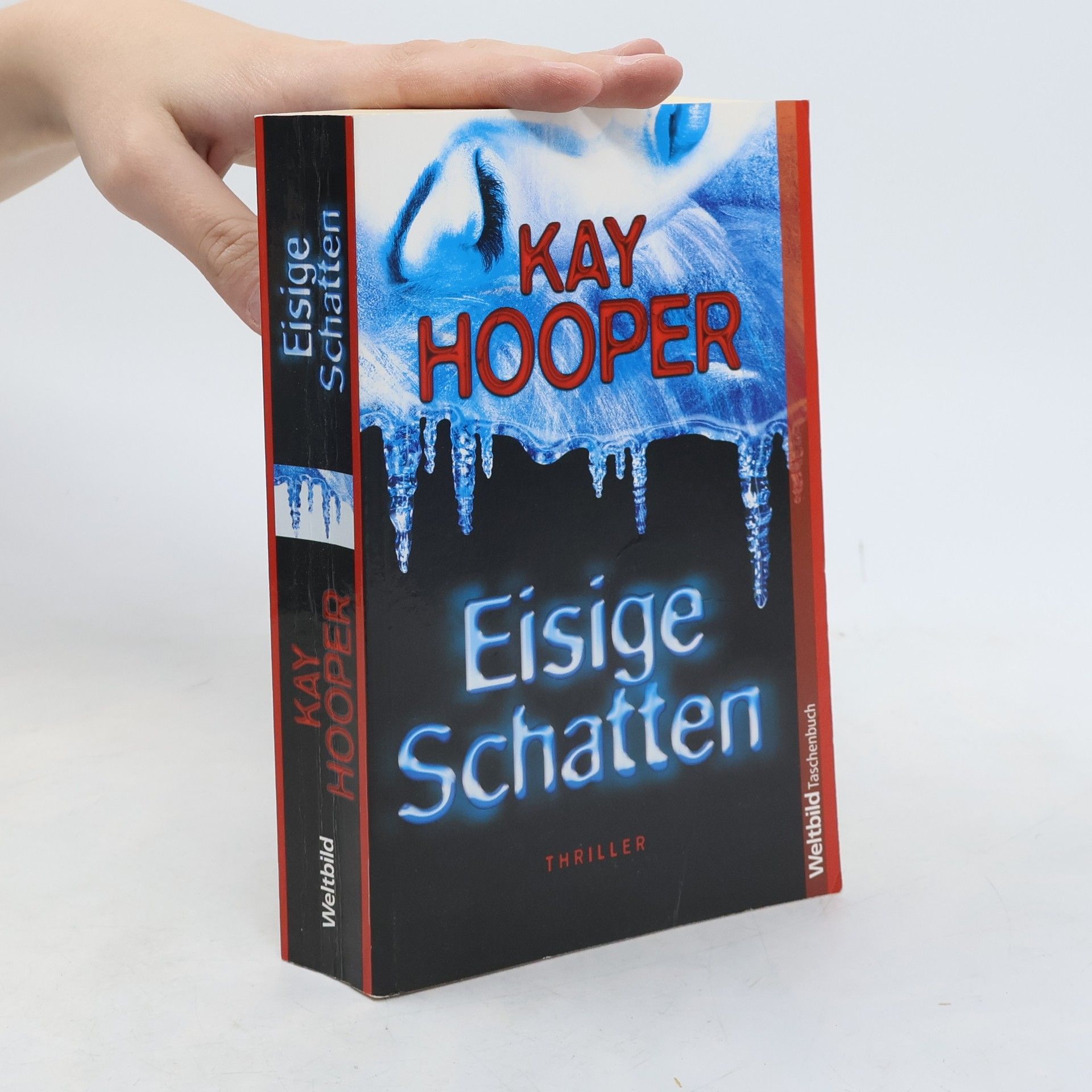 Kay Hooper Eisige Schatten