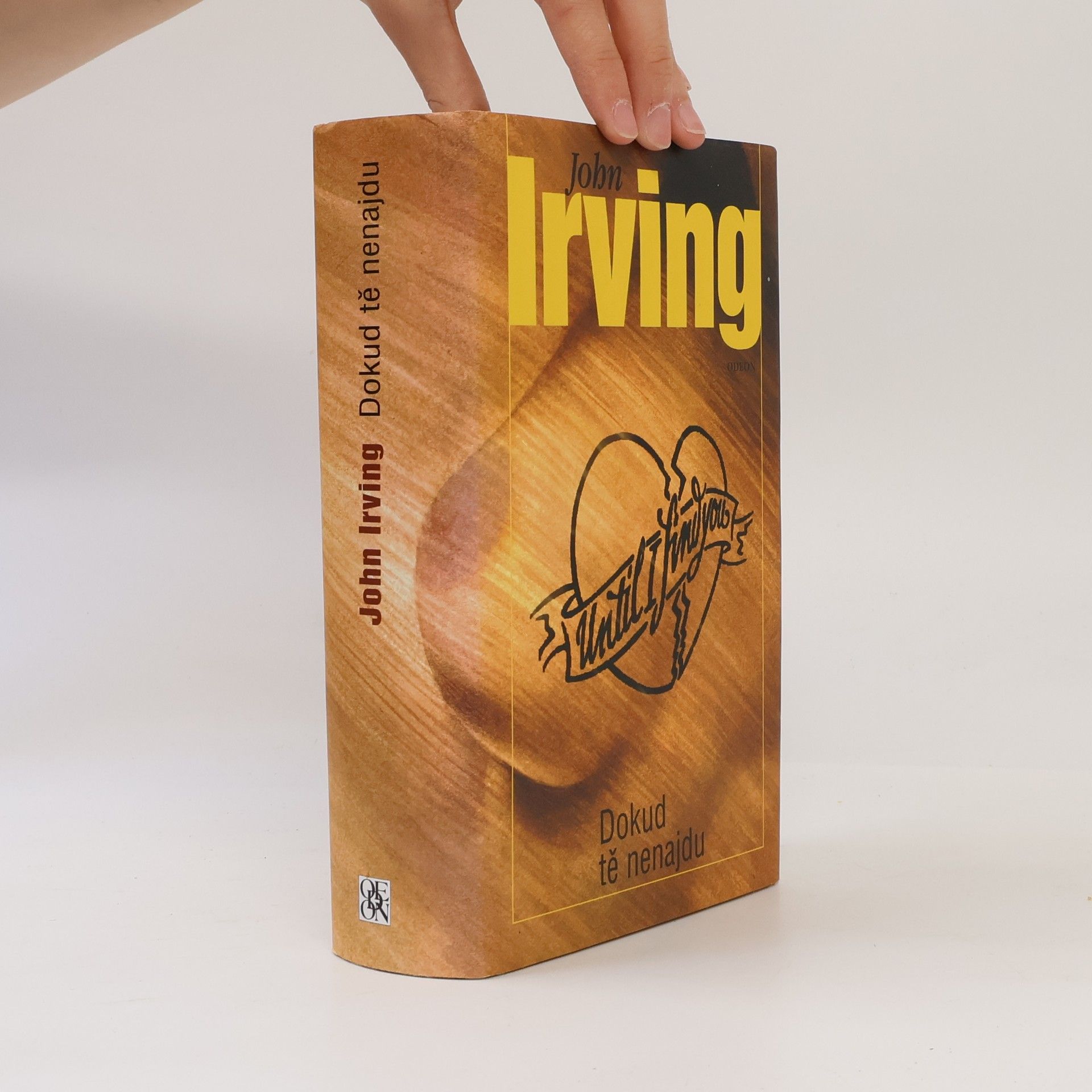 John Irving Dokud tě nenajdu