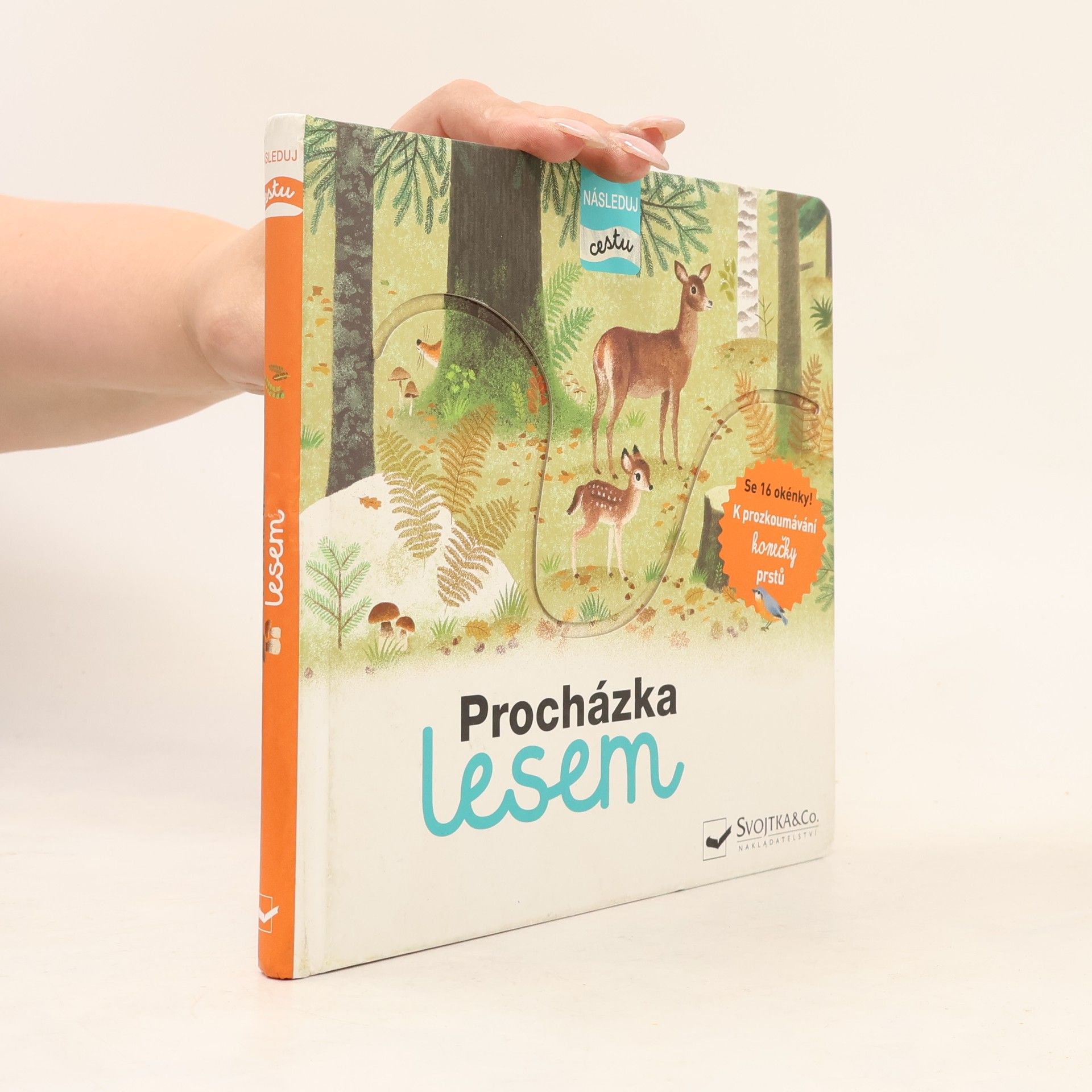 Julie Faulques Procházka lesem