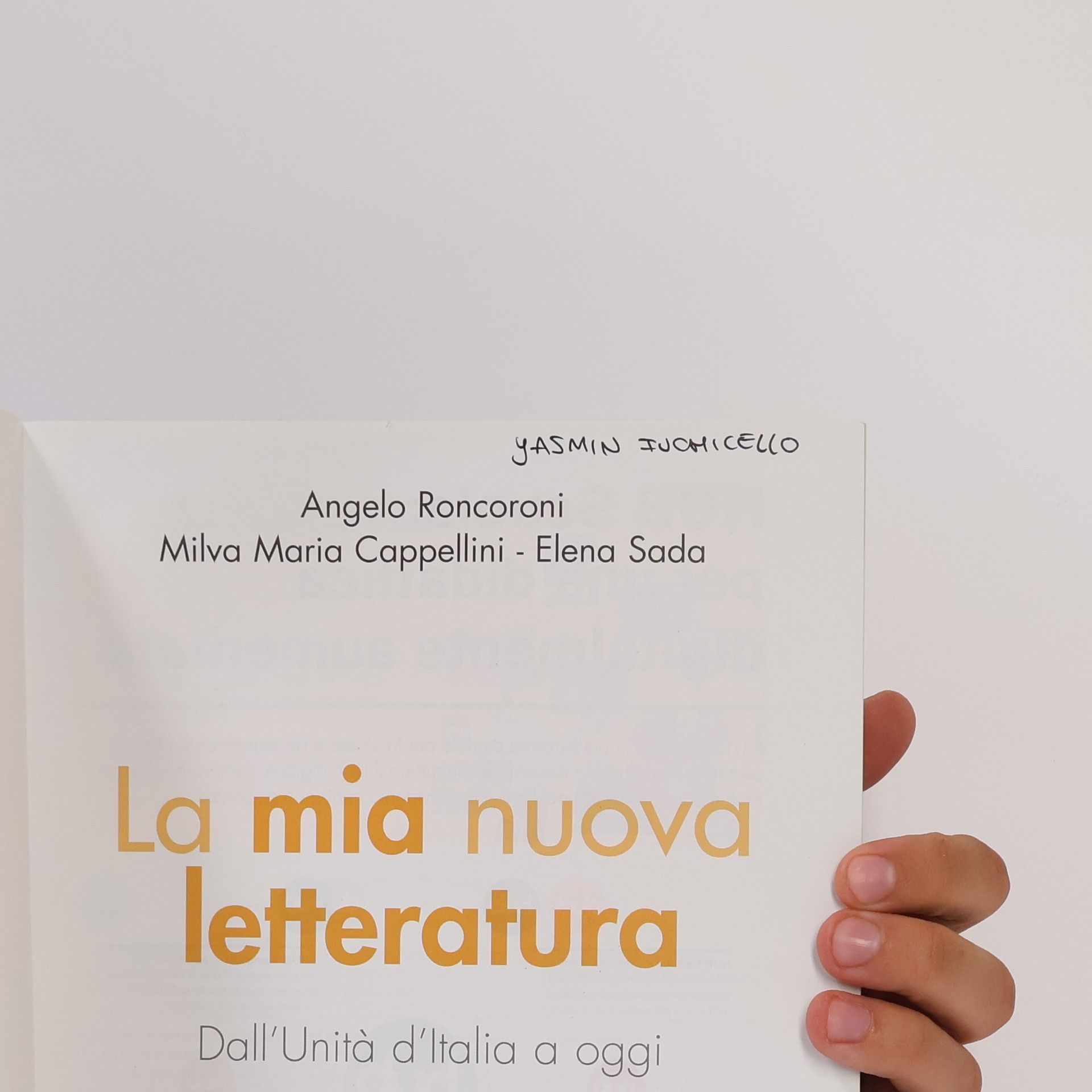A. Roncoroni La mia nuova letteratura