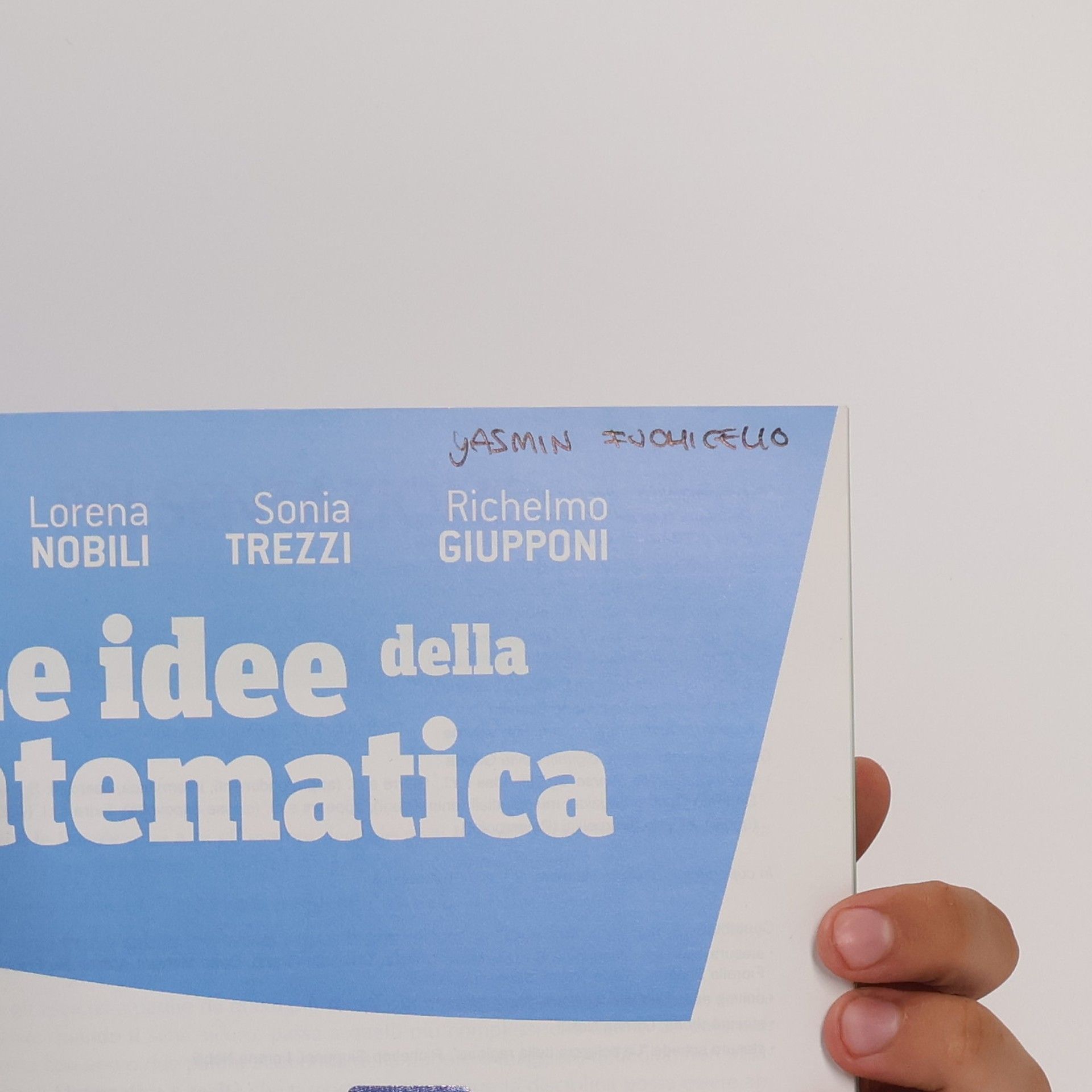 AA.VV. Le idee della Matematica