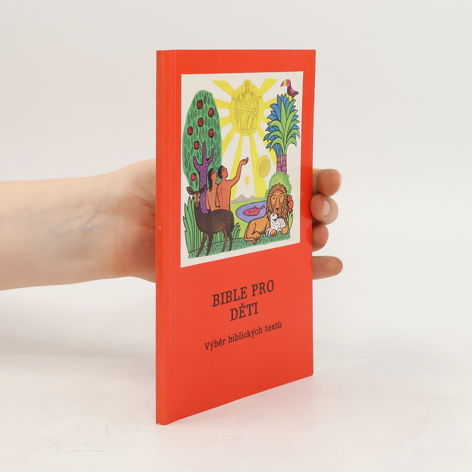 Auteurscollectief Bible pro děti. Výběr biblických textů