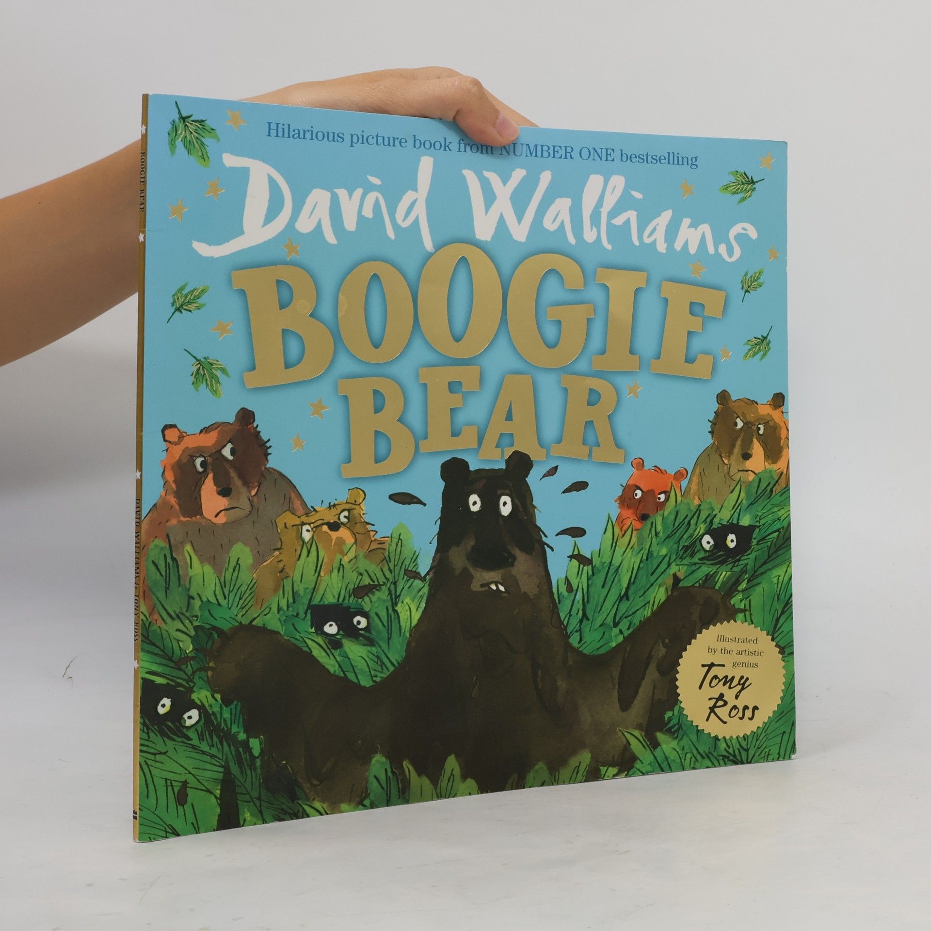 David Walliams Boogie Bear