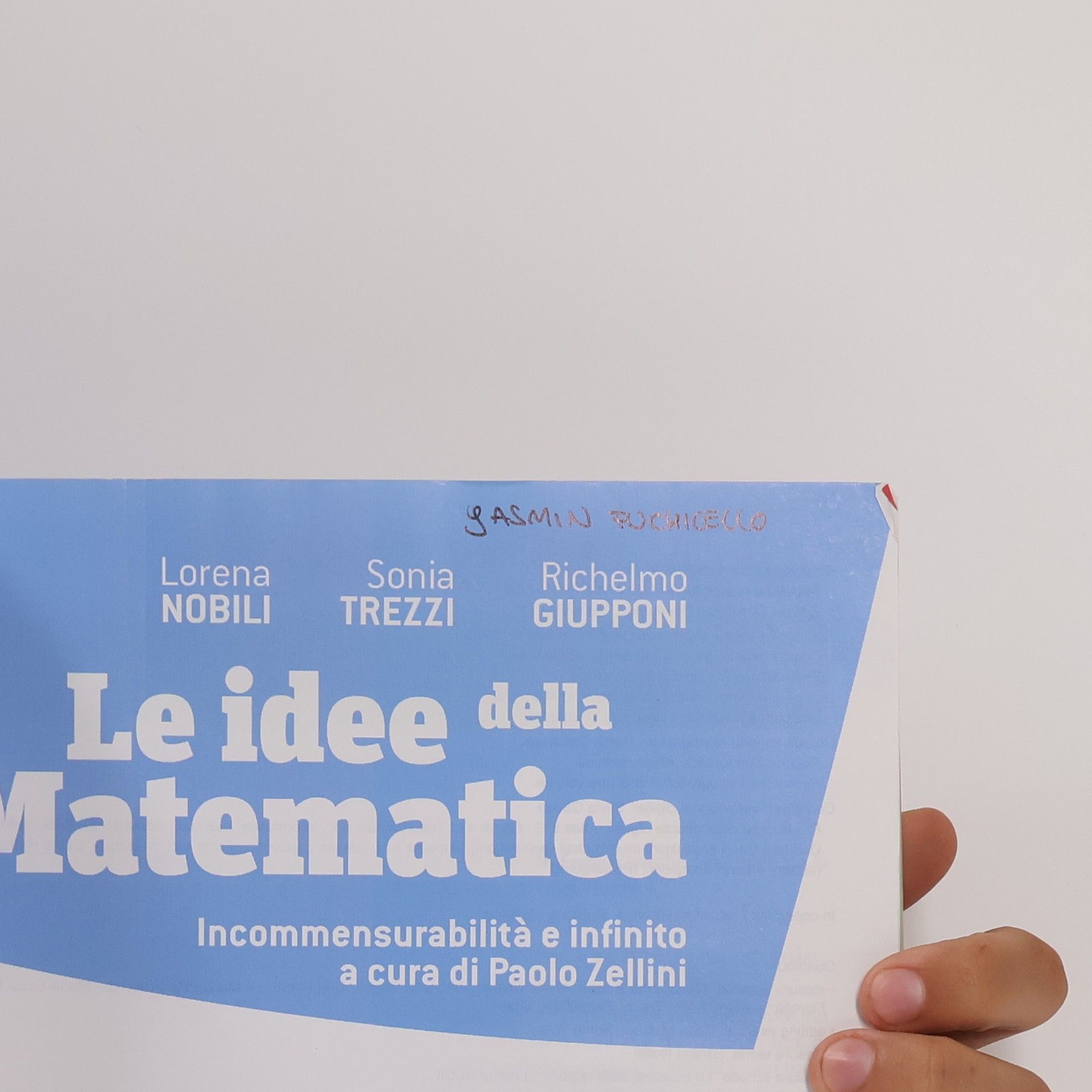 Sonia Trezzi La idee della Matematica 5. Analisi