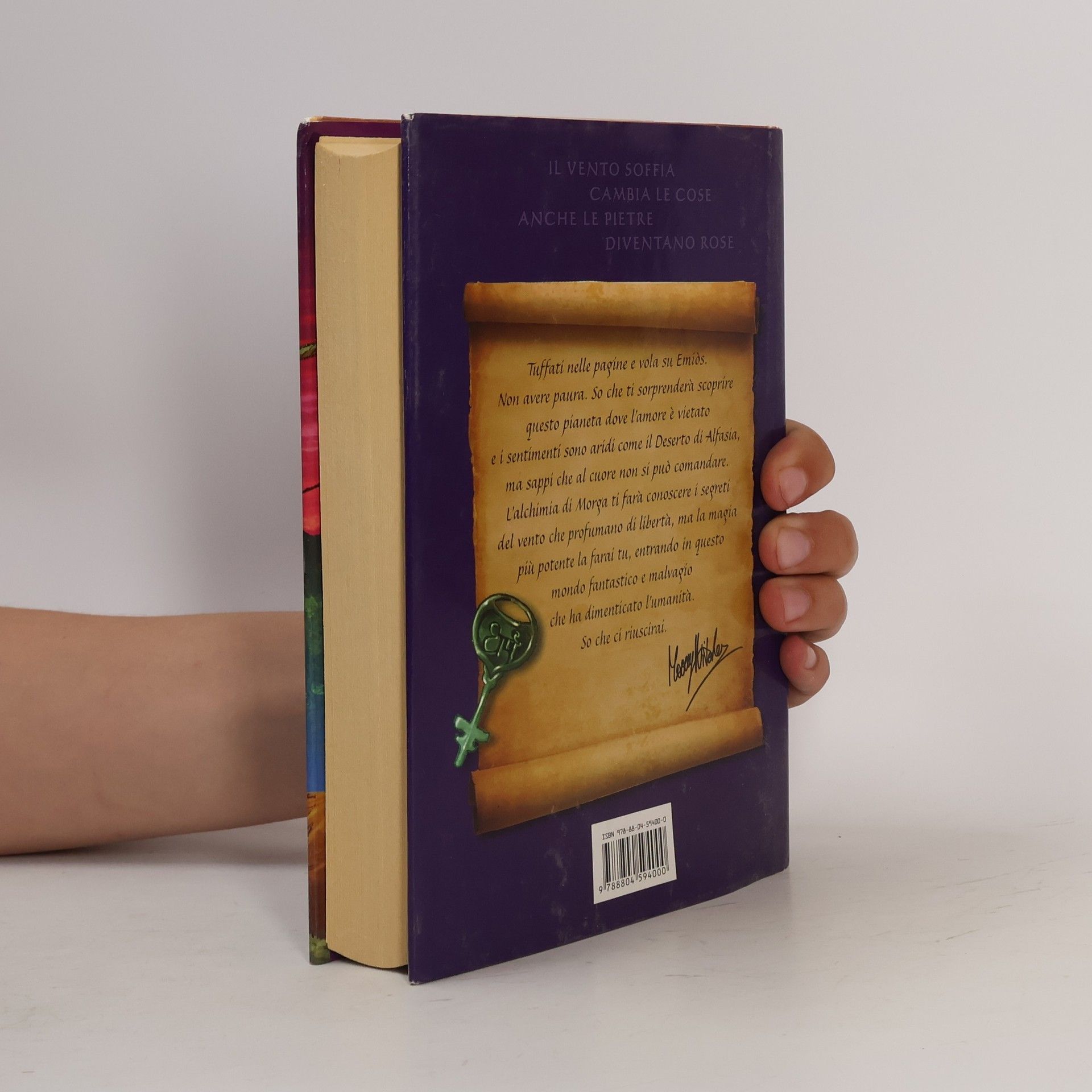moony witcher Morga, la Maga del Vento