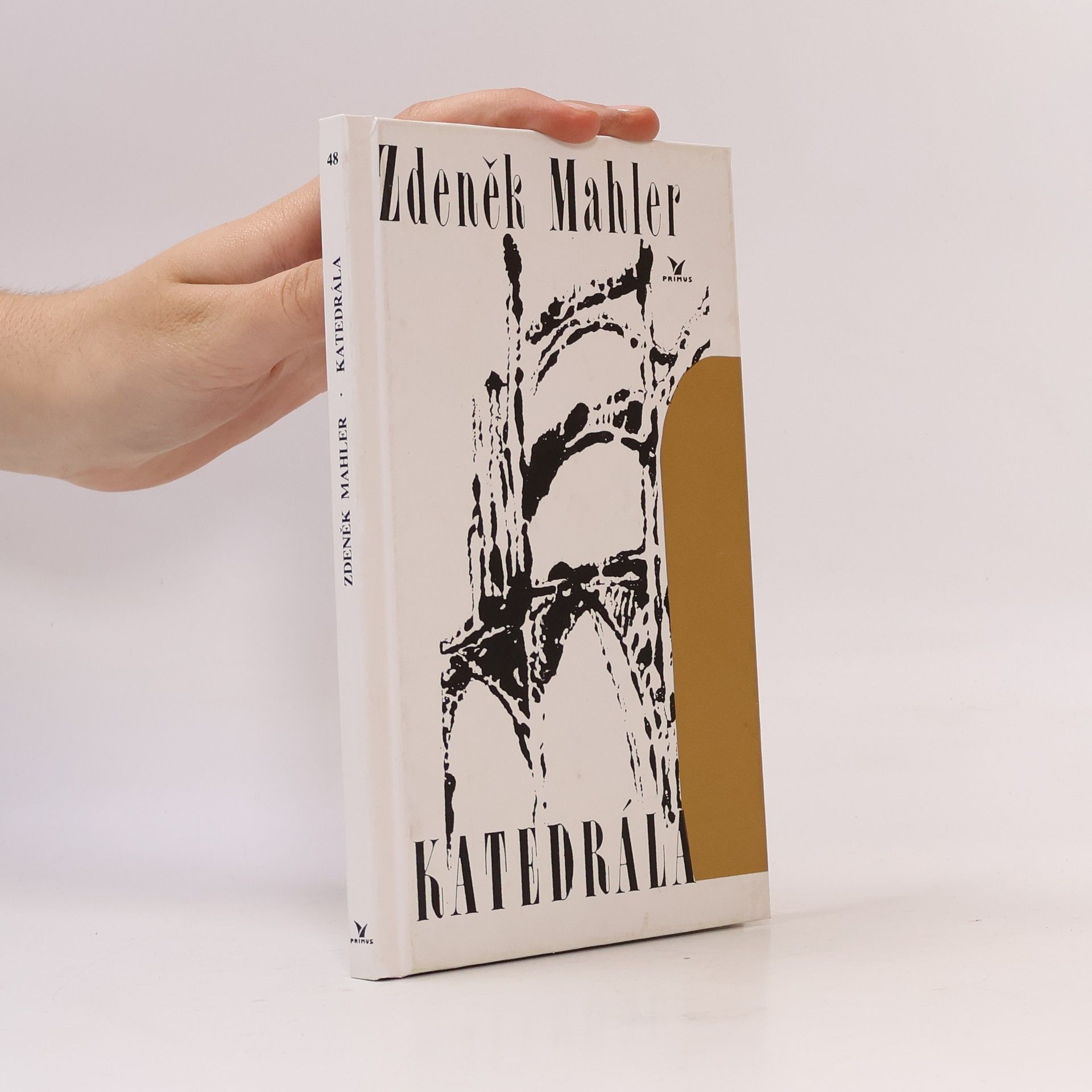 Zdeněk Mahler Katedrála