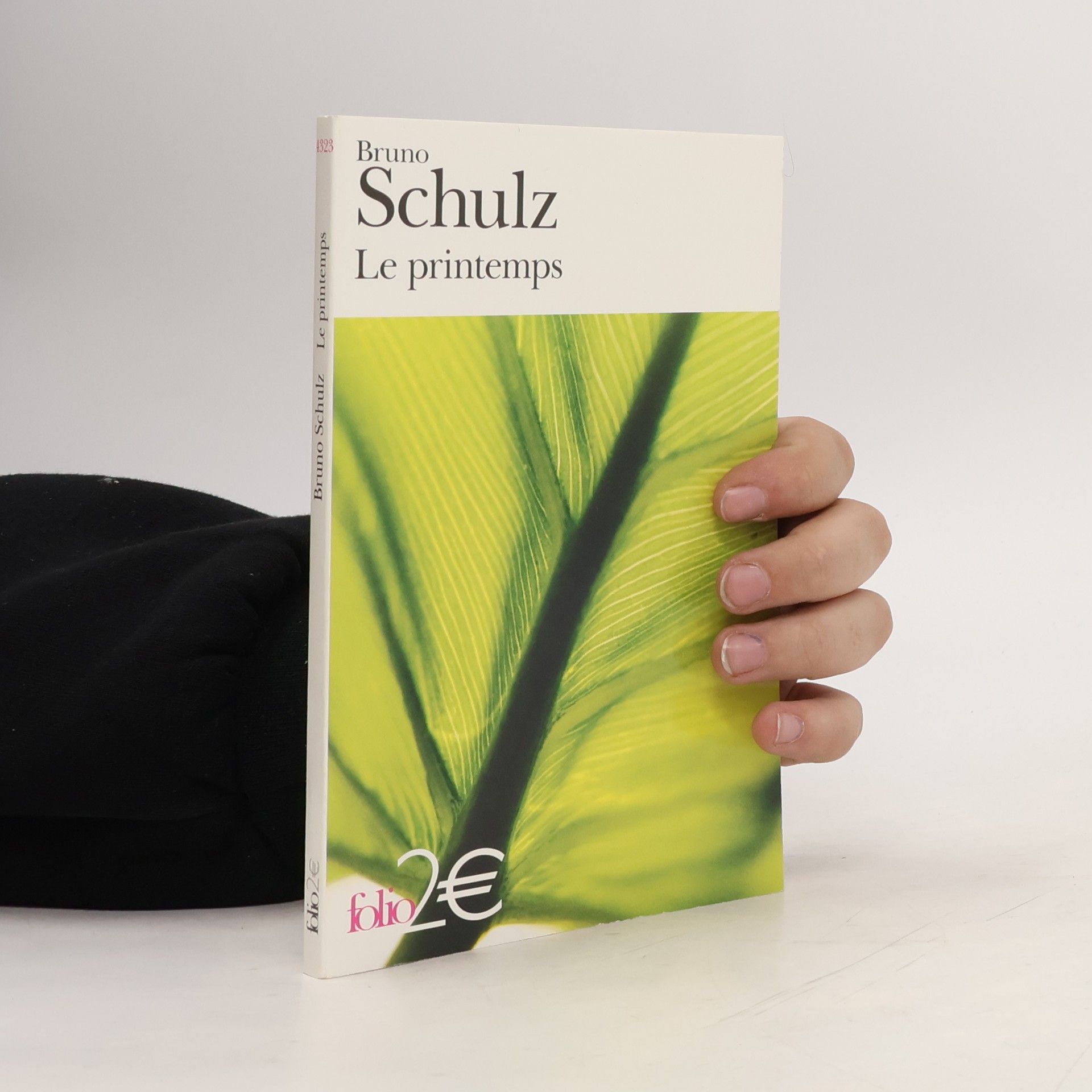 Bruno Schulz Printemps