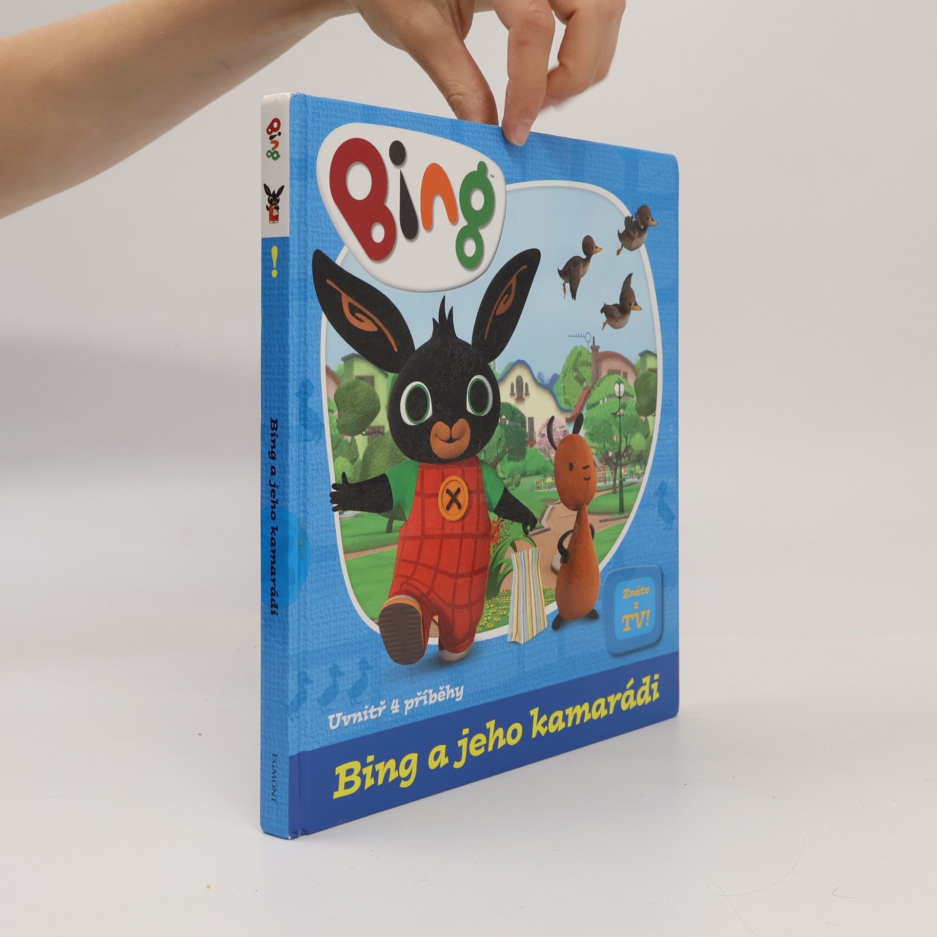 Autorenkollektiv Bing a jeho kamarádi