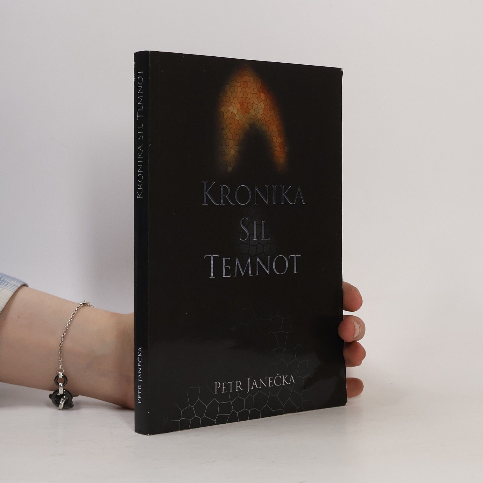 Petr Janečka Kronika sil temnot