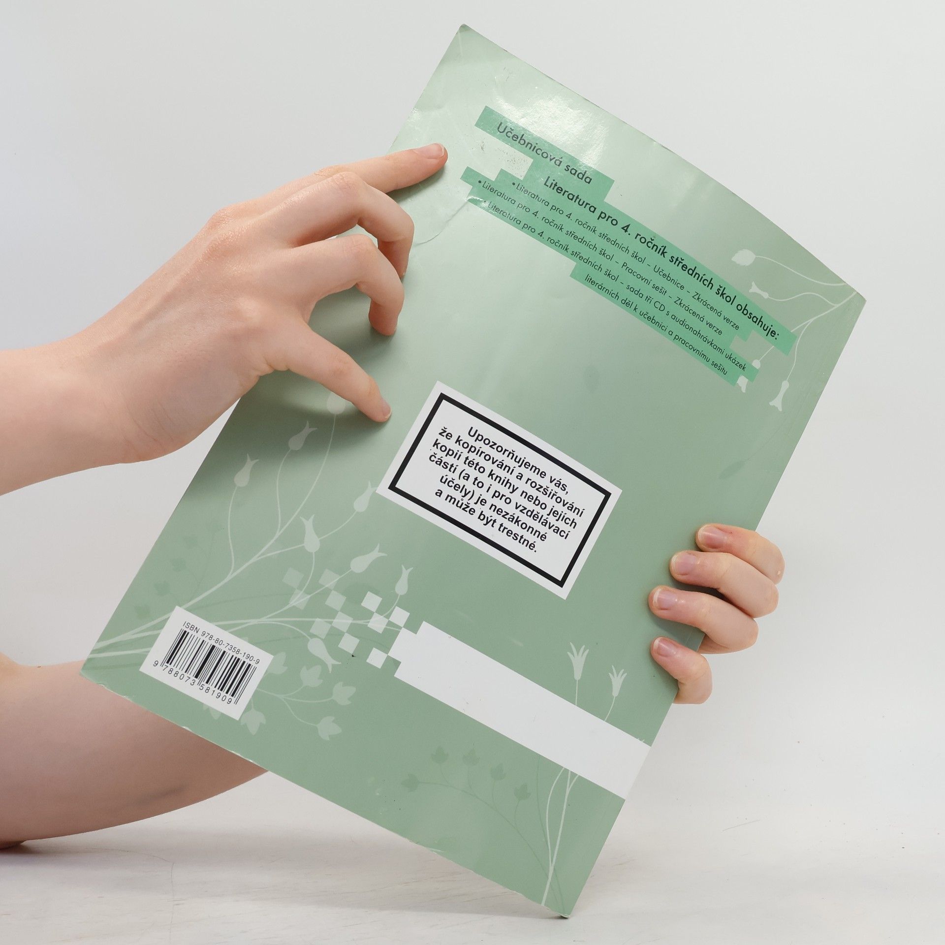 Denisa Nečasová Literatura pro 4. ročník středních škol. Pracovní sešit