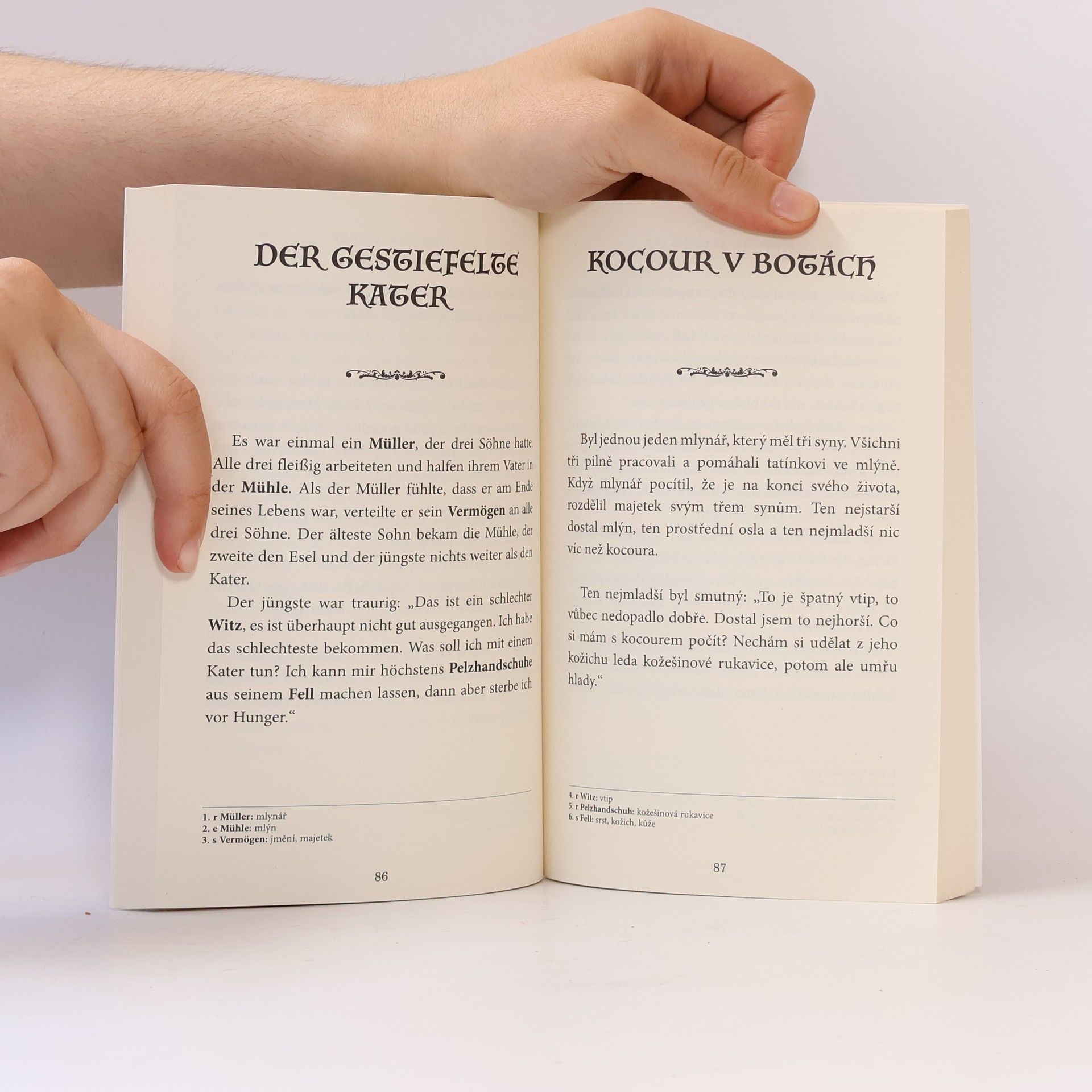 Jacob Grimm Aschenputtel und andere Märchen = Popelka a jiné pohádky bratří Grimmů