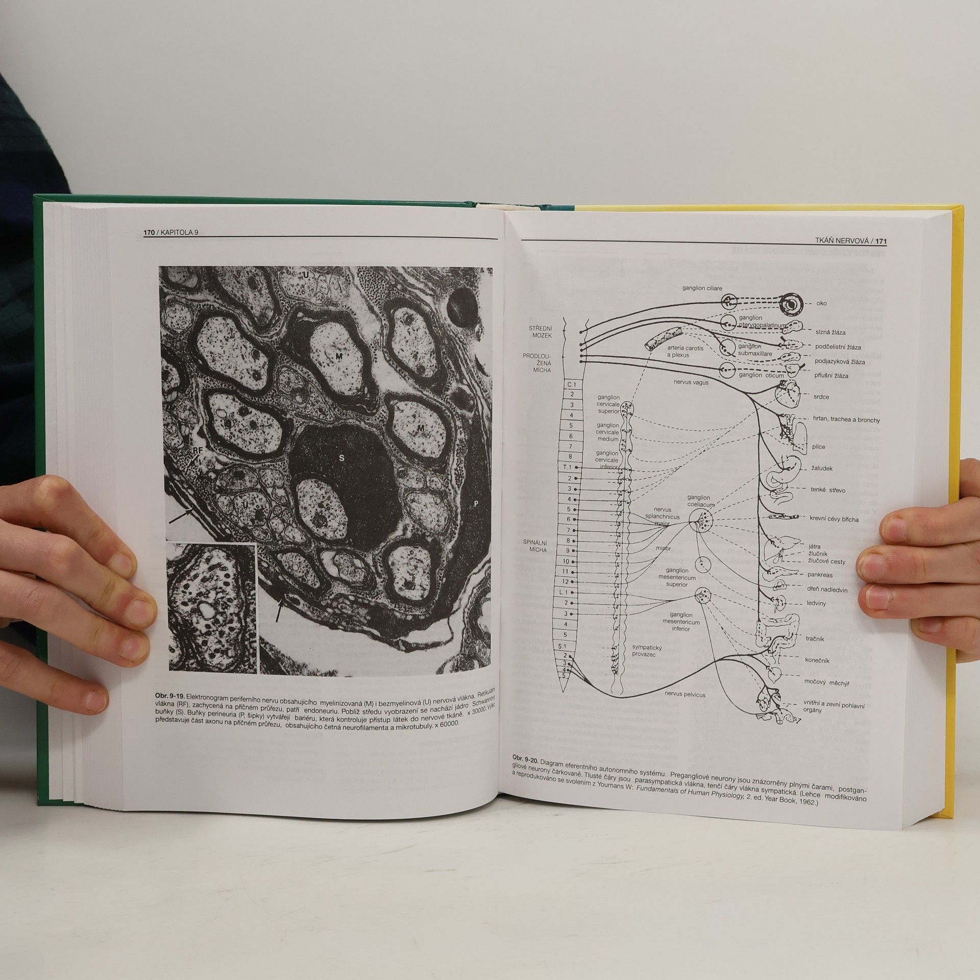 Richard Jelínek Základy histologie